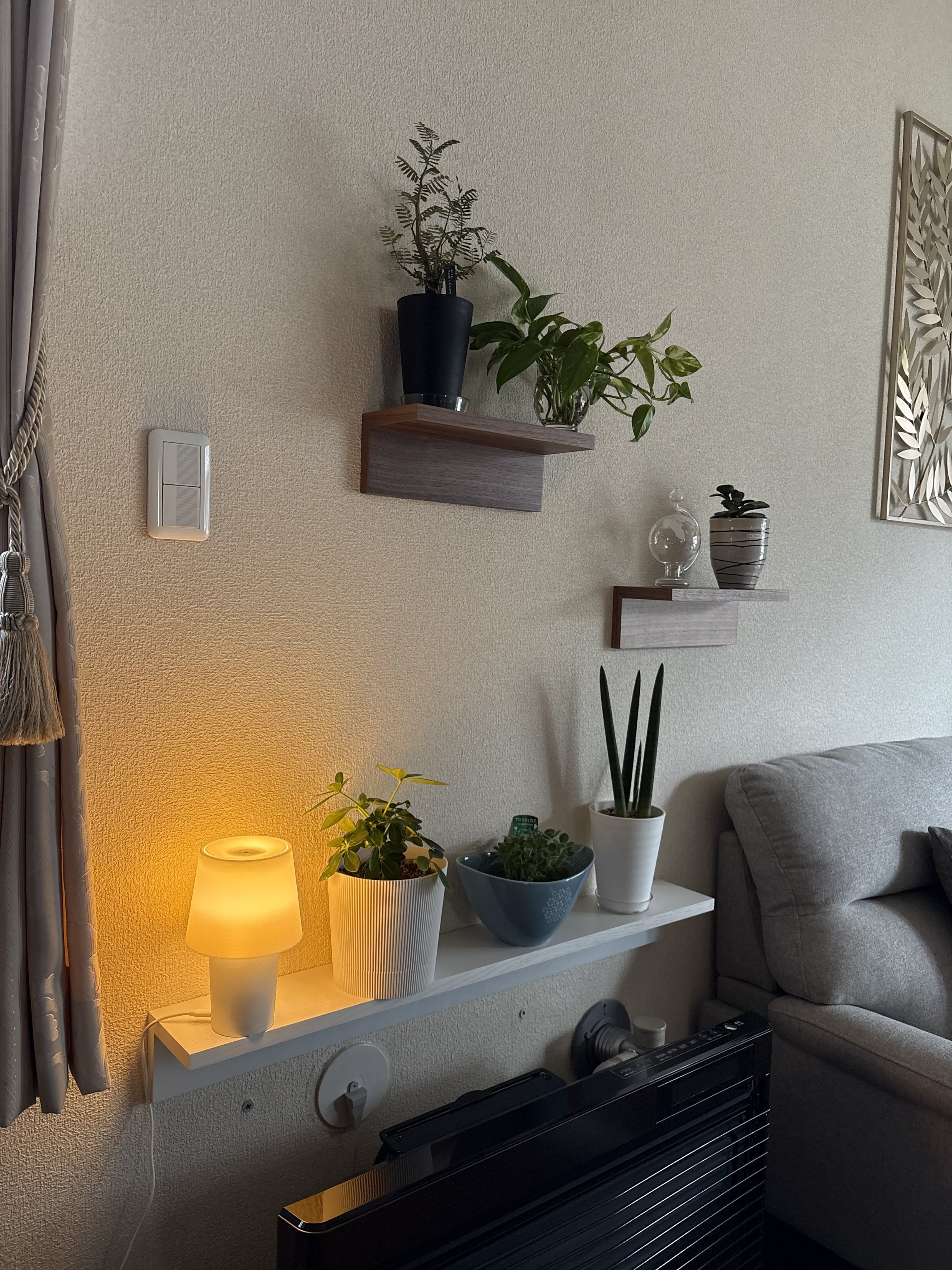 レビュー投稿画像