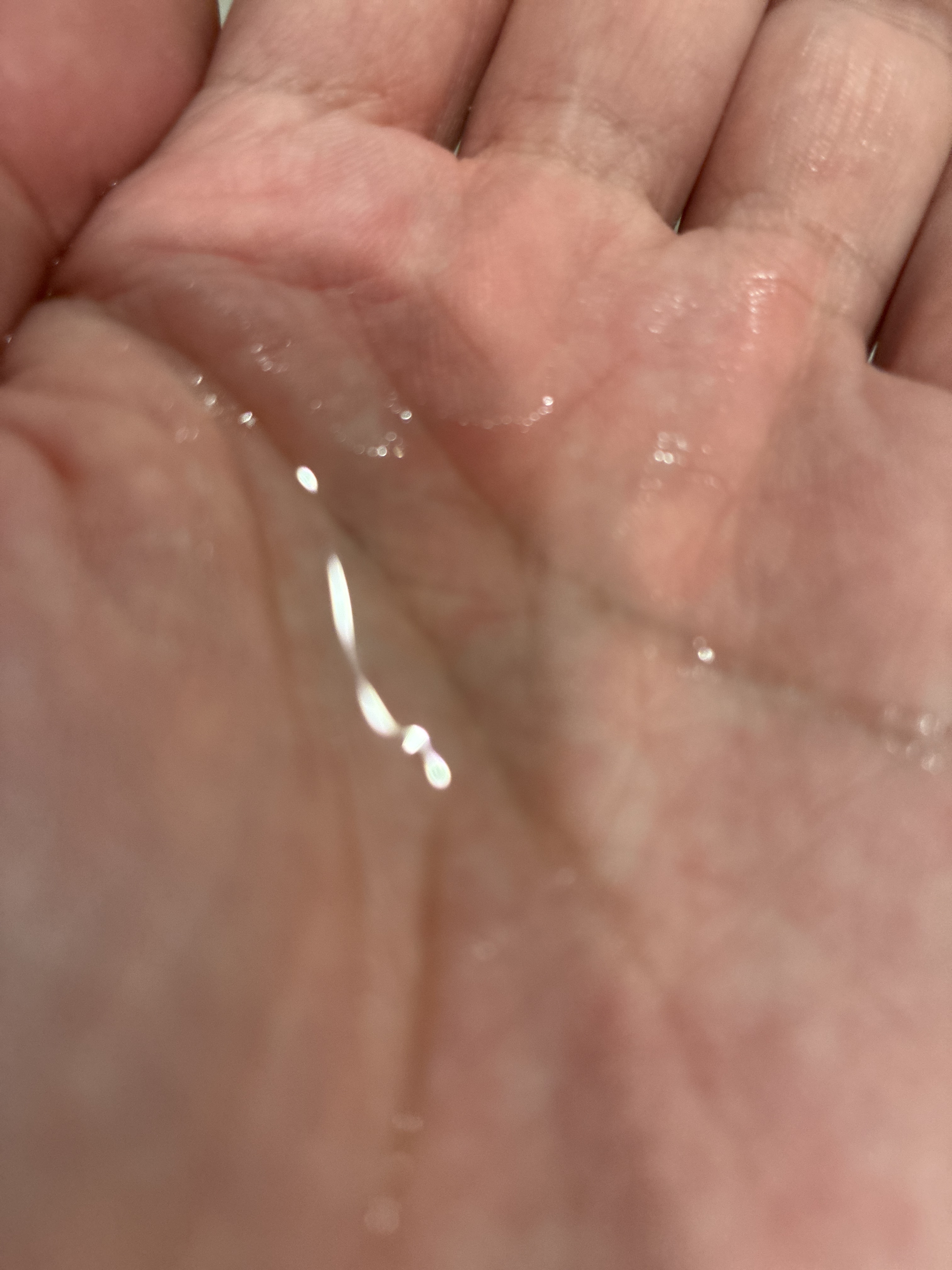 レビュー投稿画像