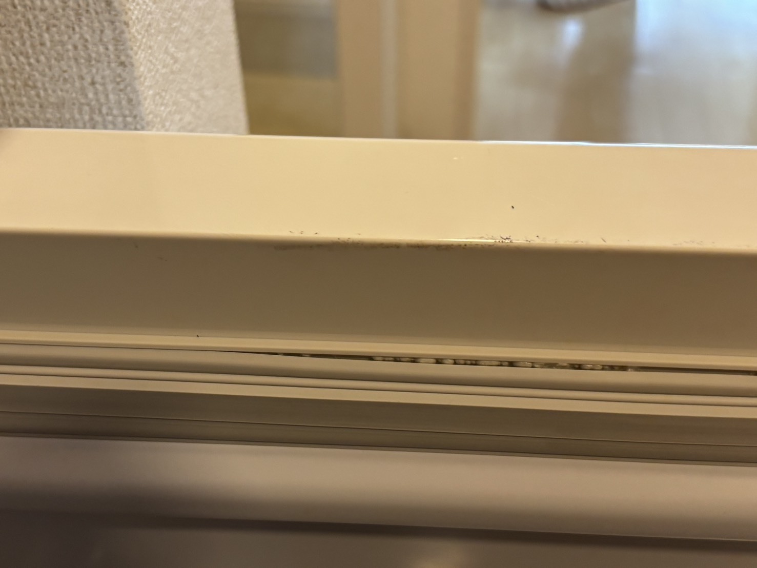 レビュー投稿画像