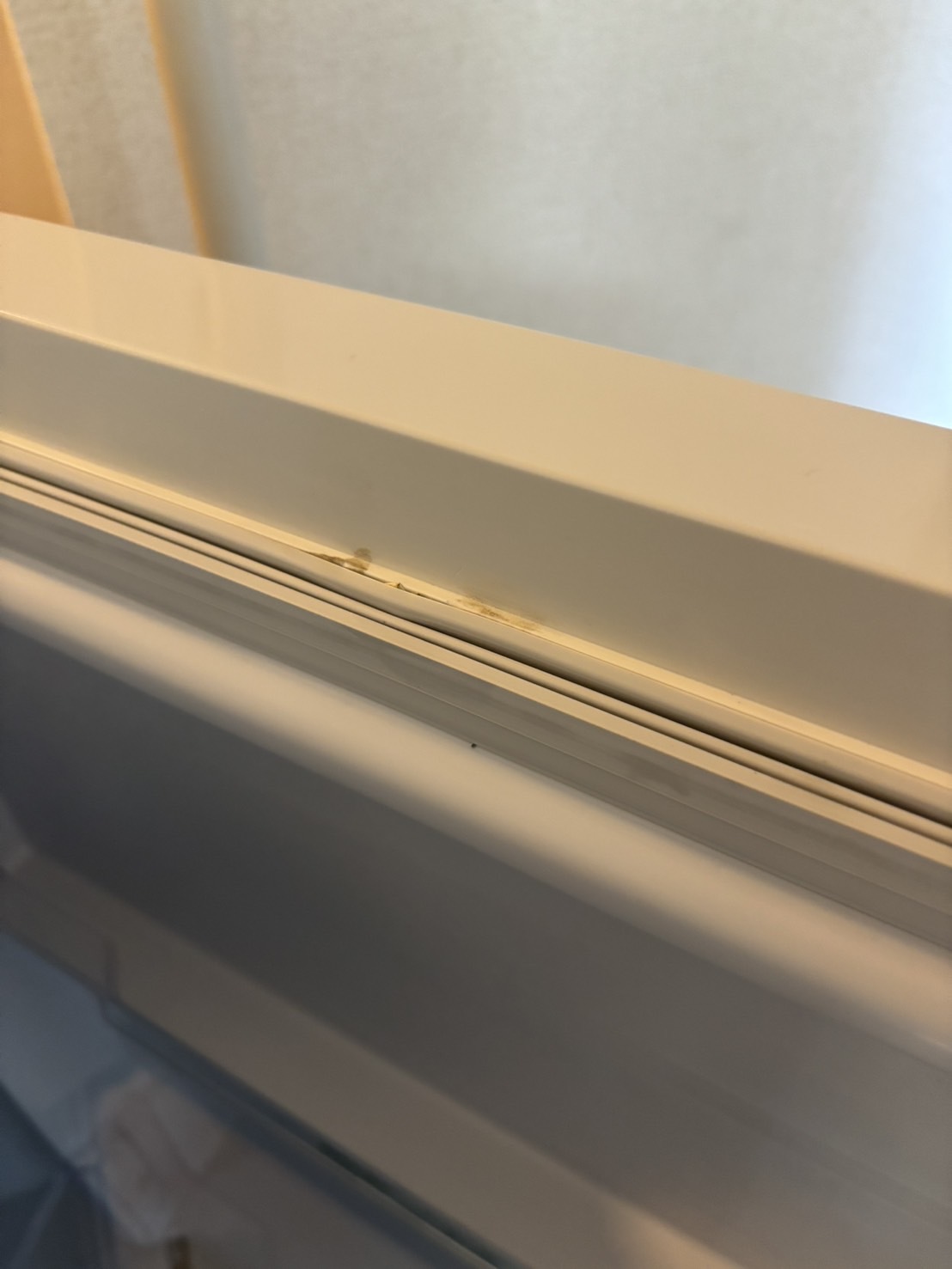 レビュー投稿画像