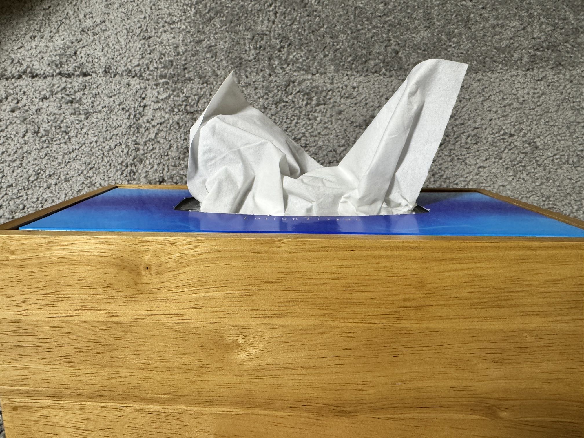 レビュー投稿画像