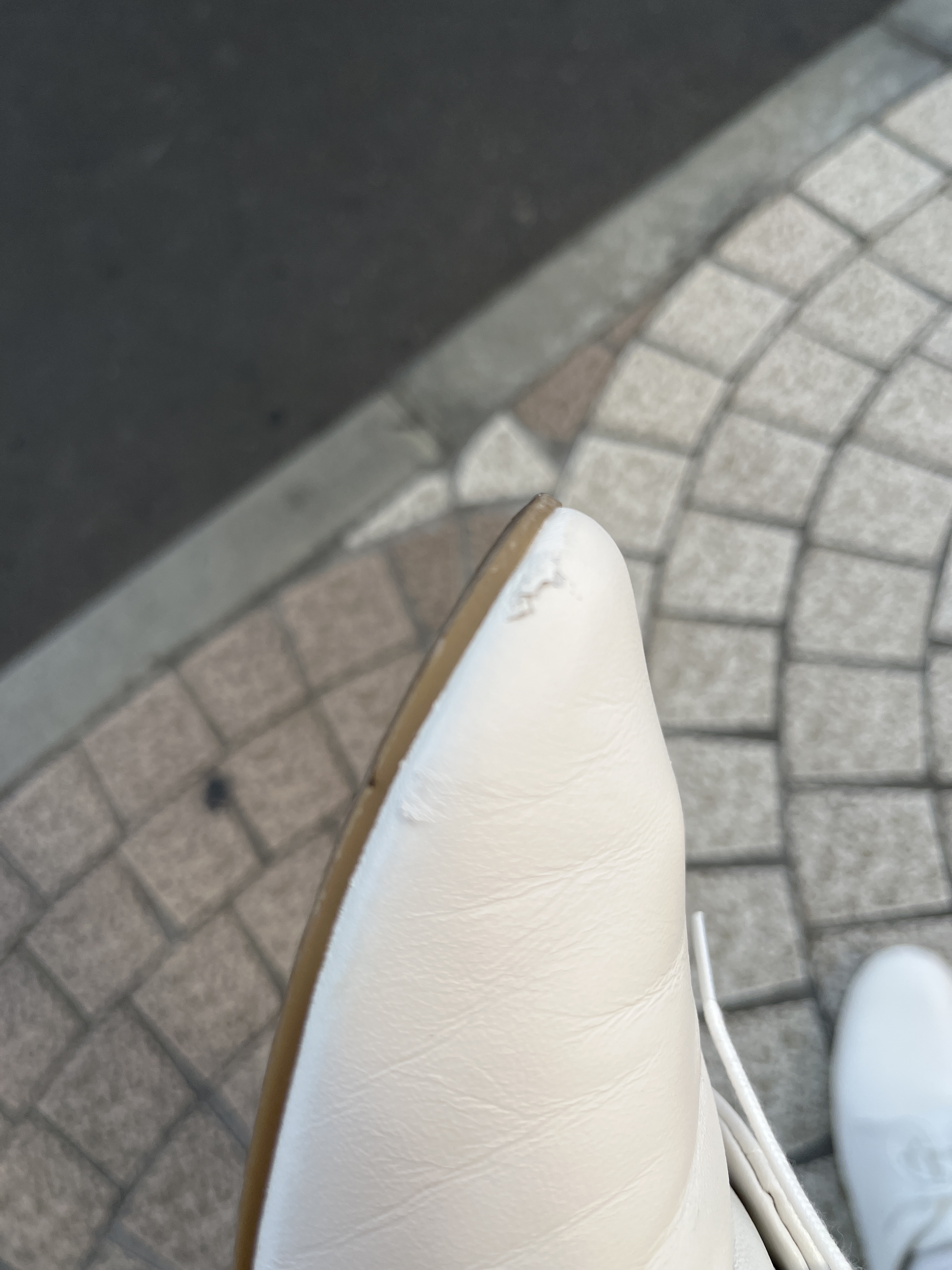 レビュー投稿画像