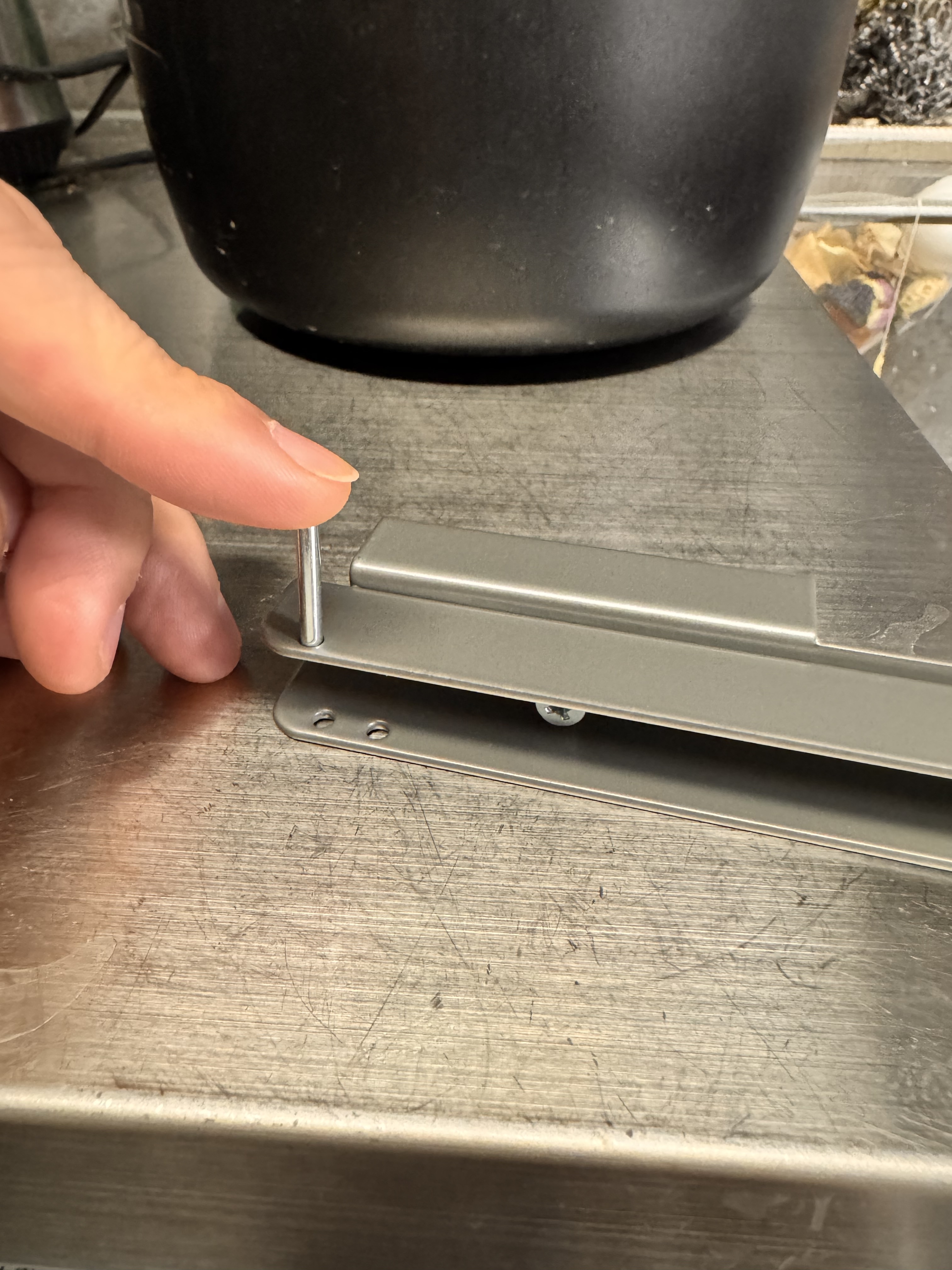 レビュー投稿画像