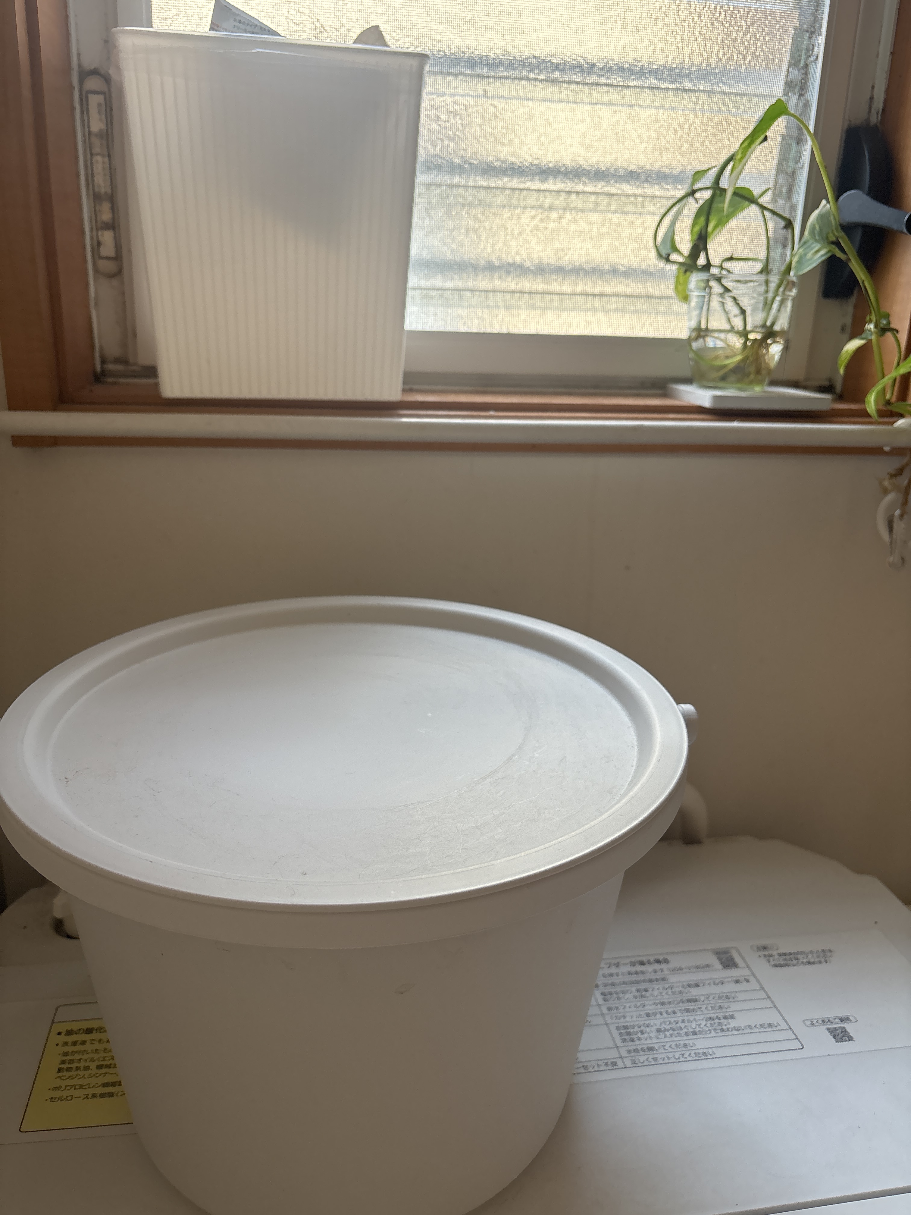 レビュー投稿画像