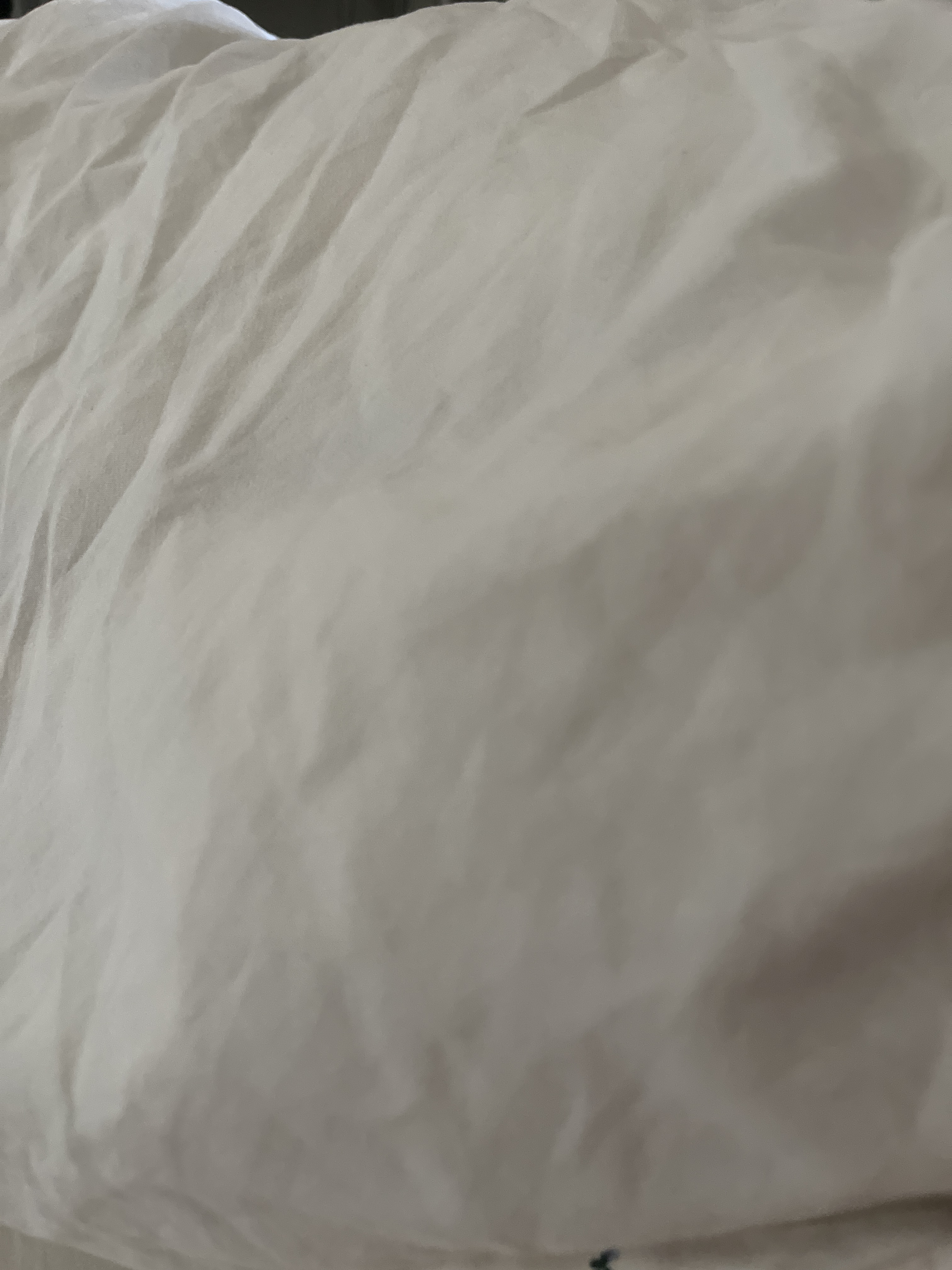 レビュー投稿画像