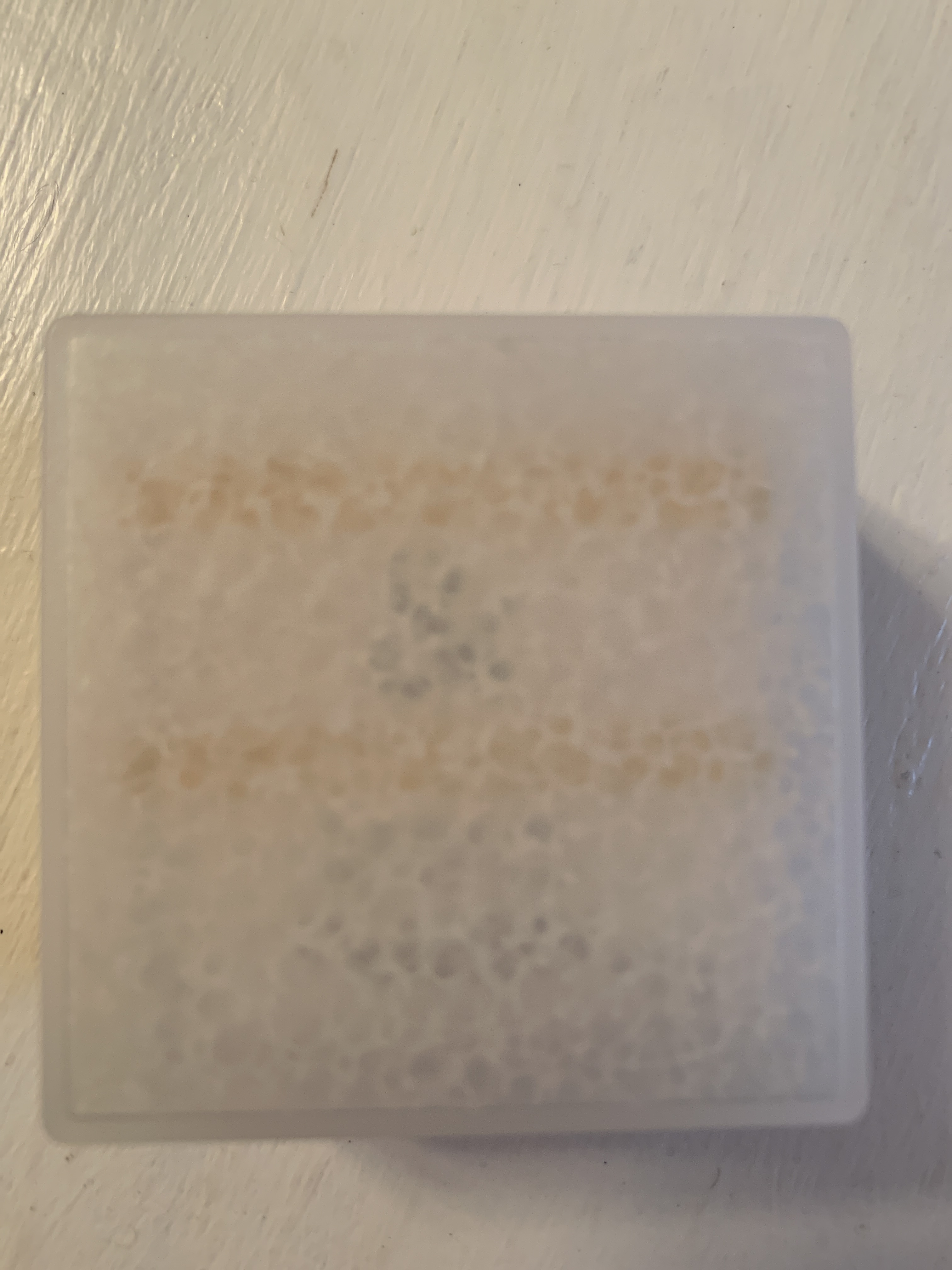 レビュー投稿画像