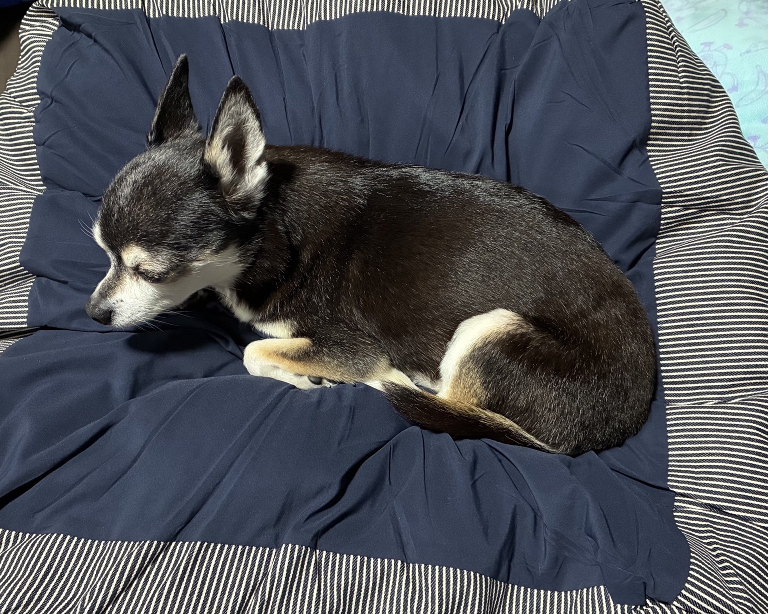 レビュー投稿画像