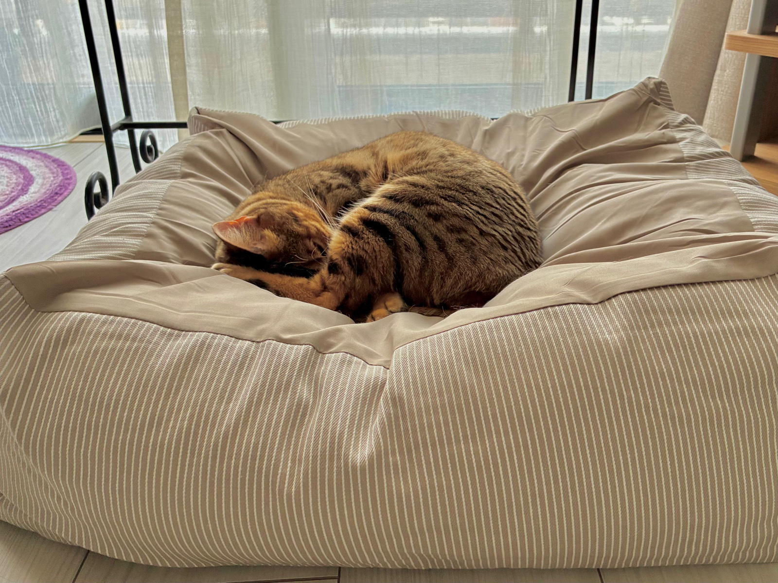 レビュー投稿画像