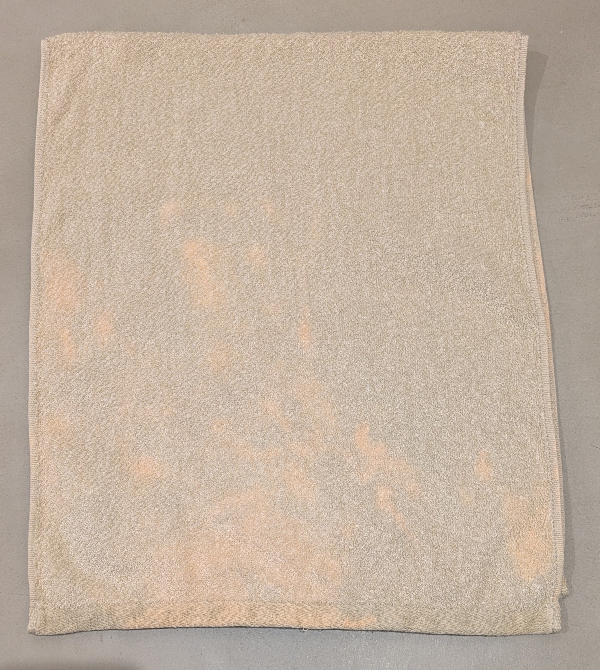 レビュー投稿画像