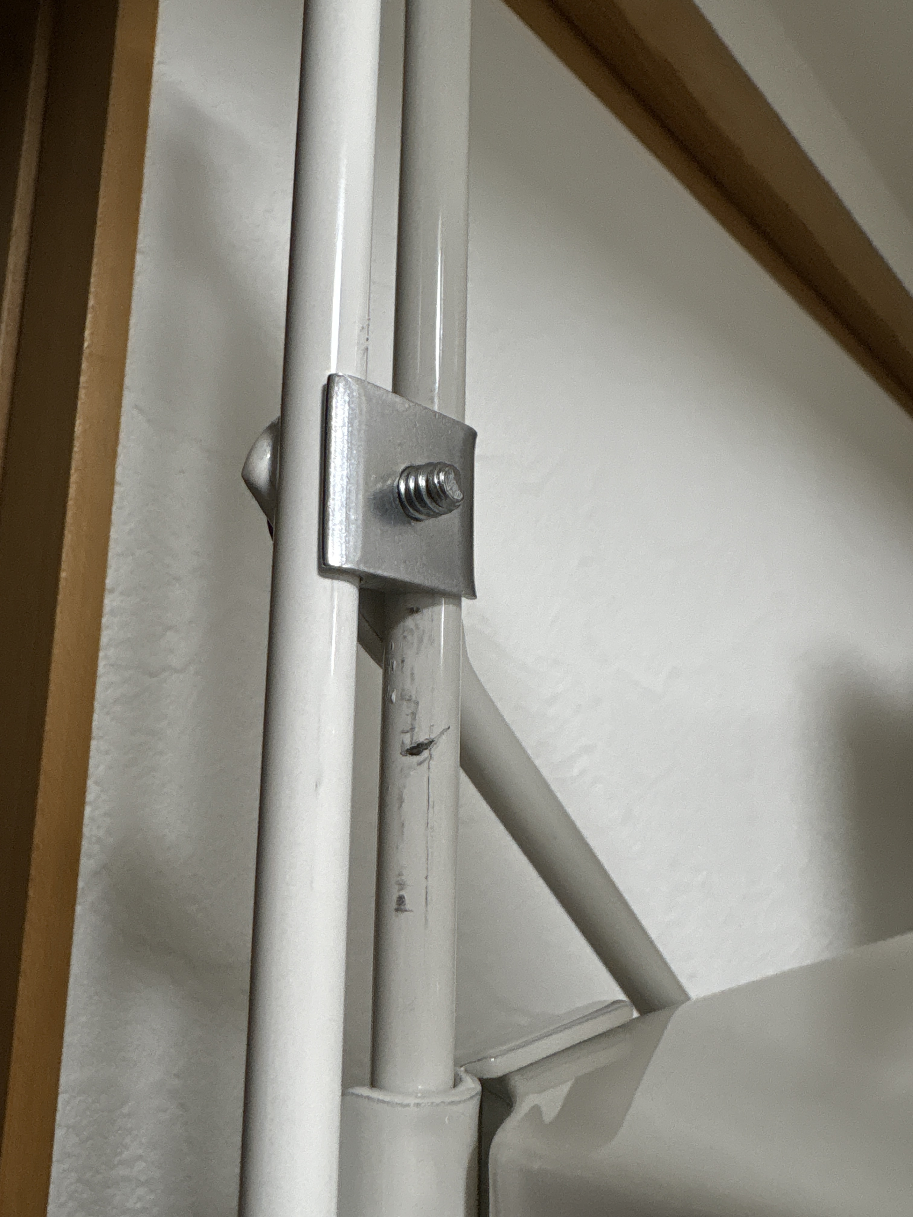 レビュー投稿画像