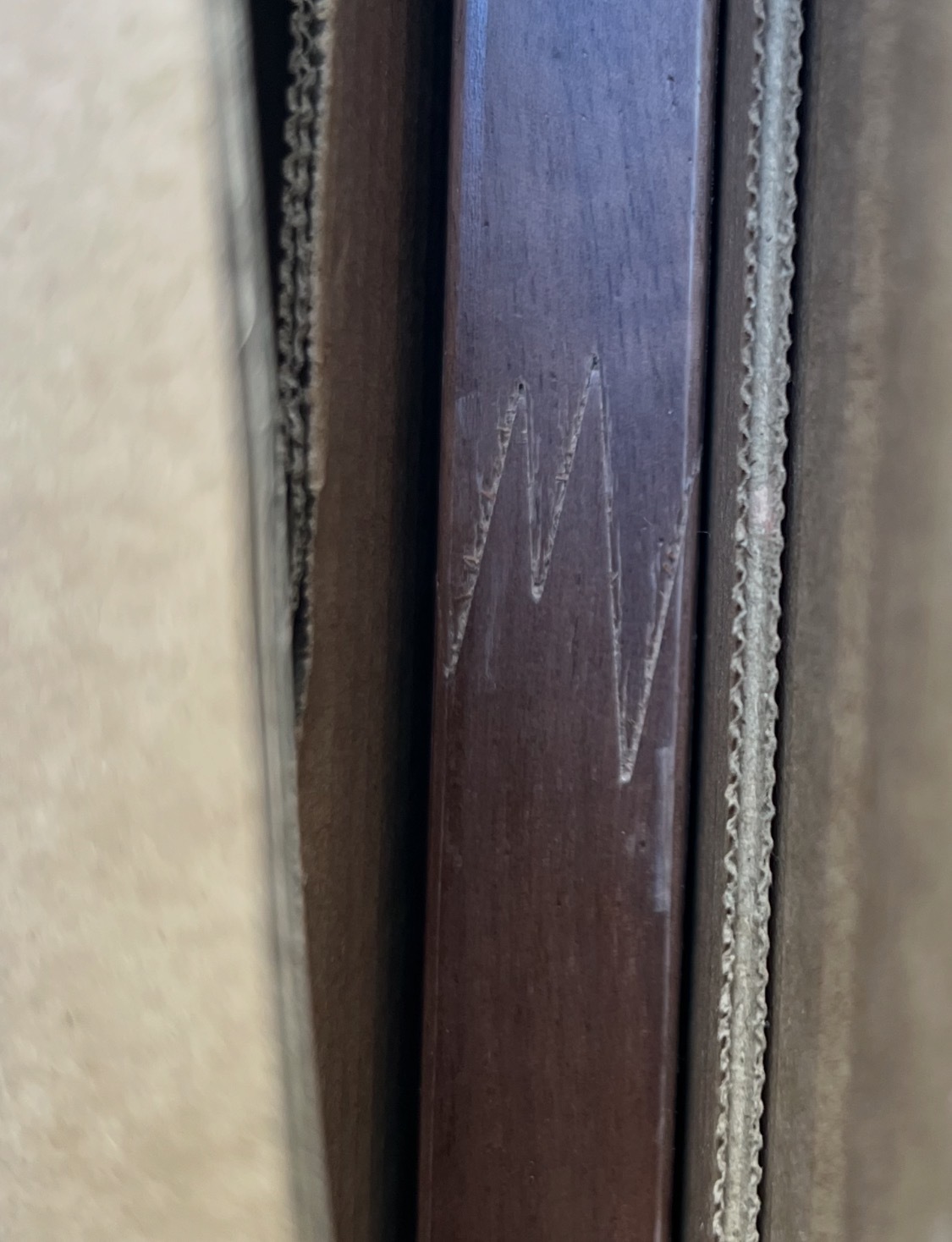 レビュー投稿画像