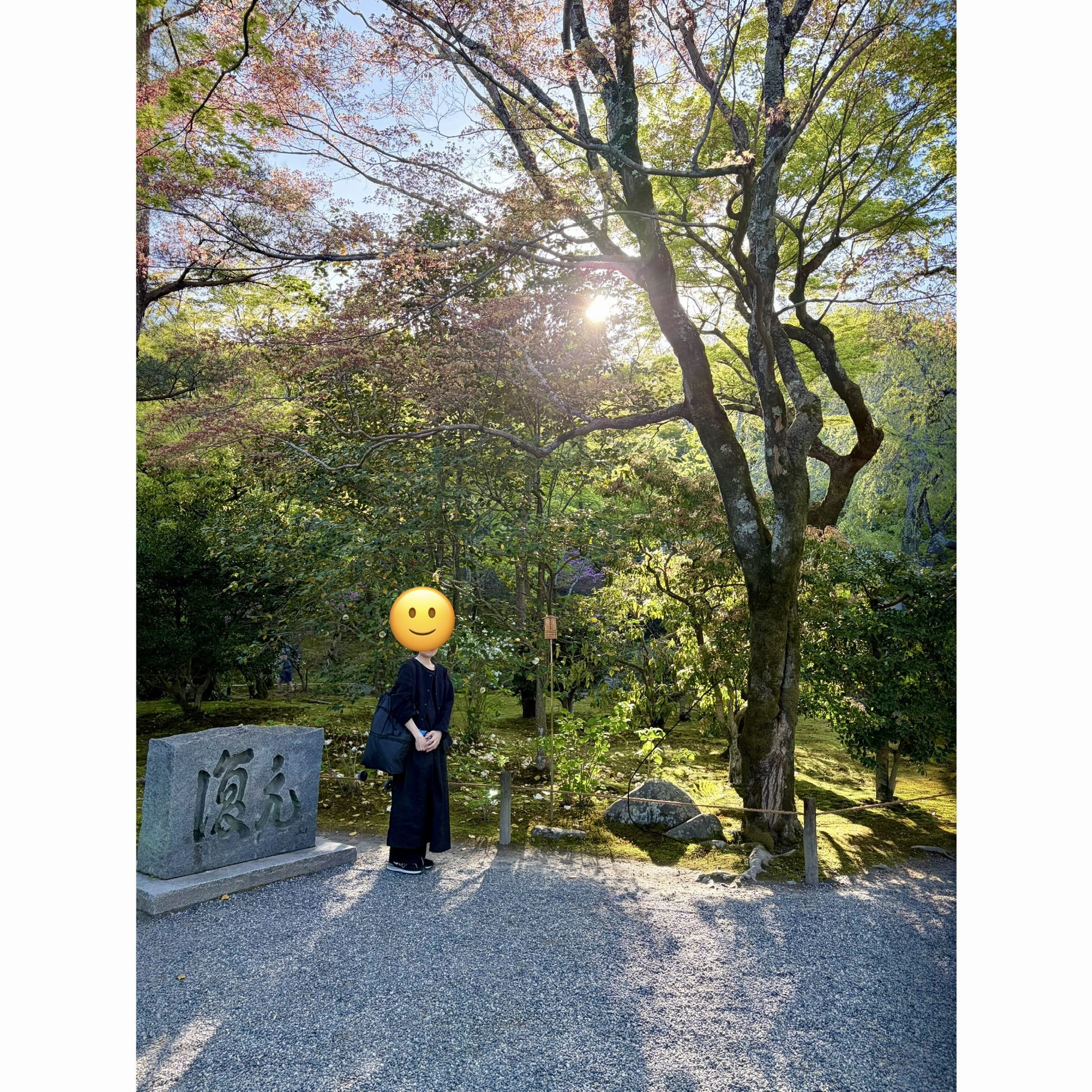 レビュー投稿画像