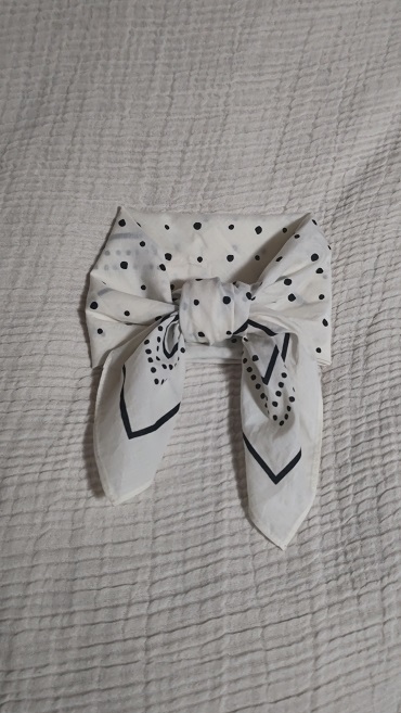 レビュー投稿画像