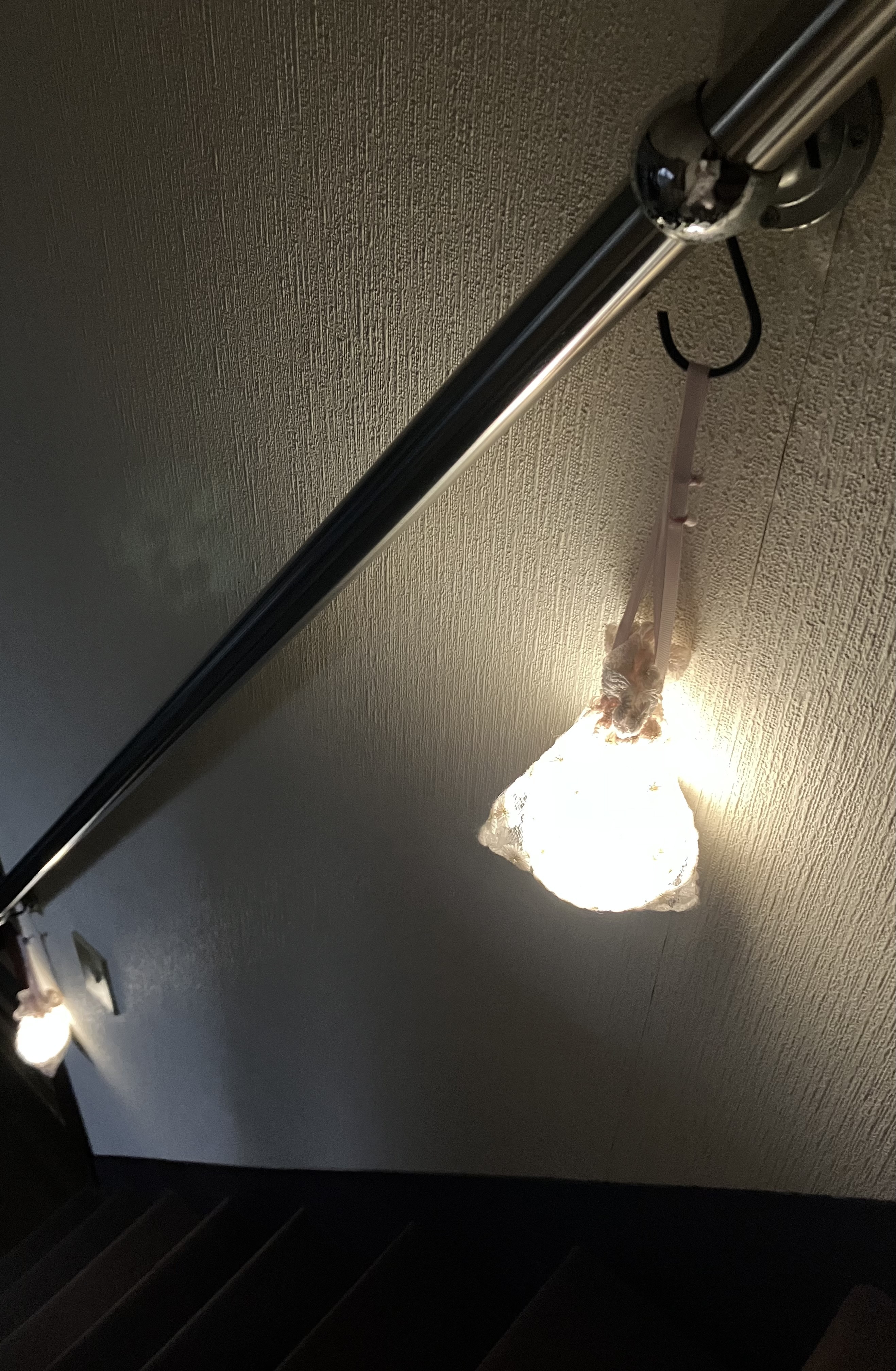 レビュー投稿画像