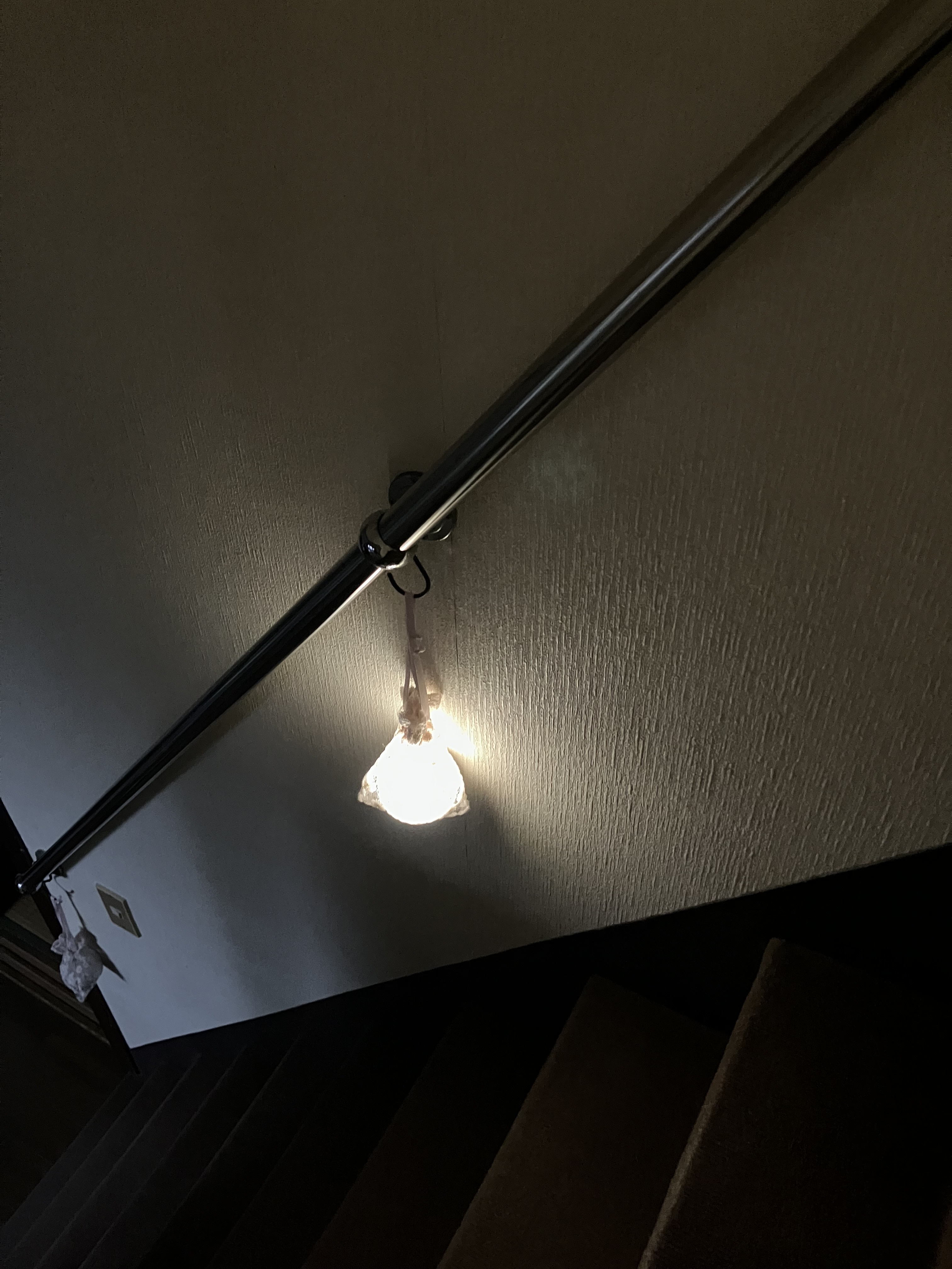 レビュー投稿画像