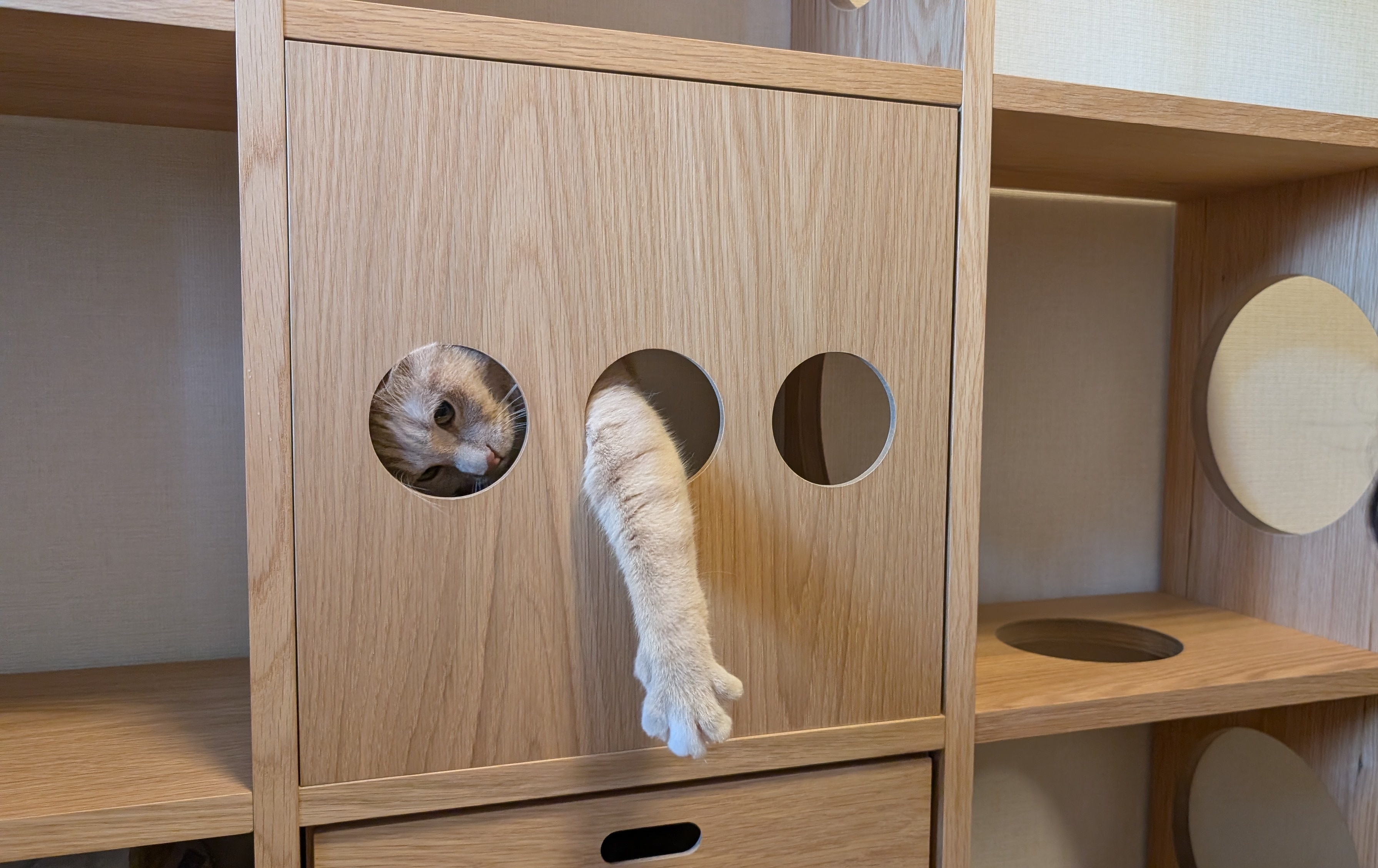 レビュー投稿画像