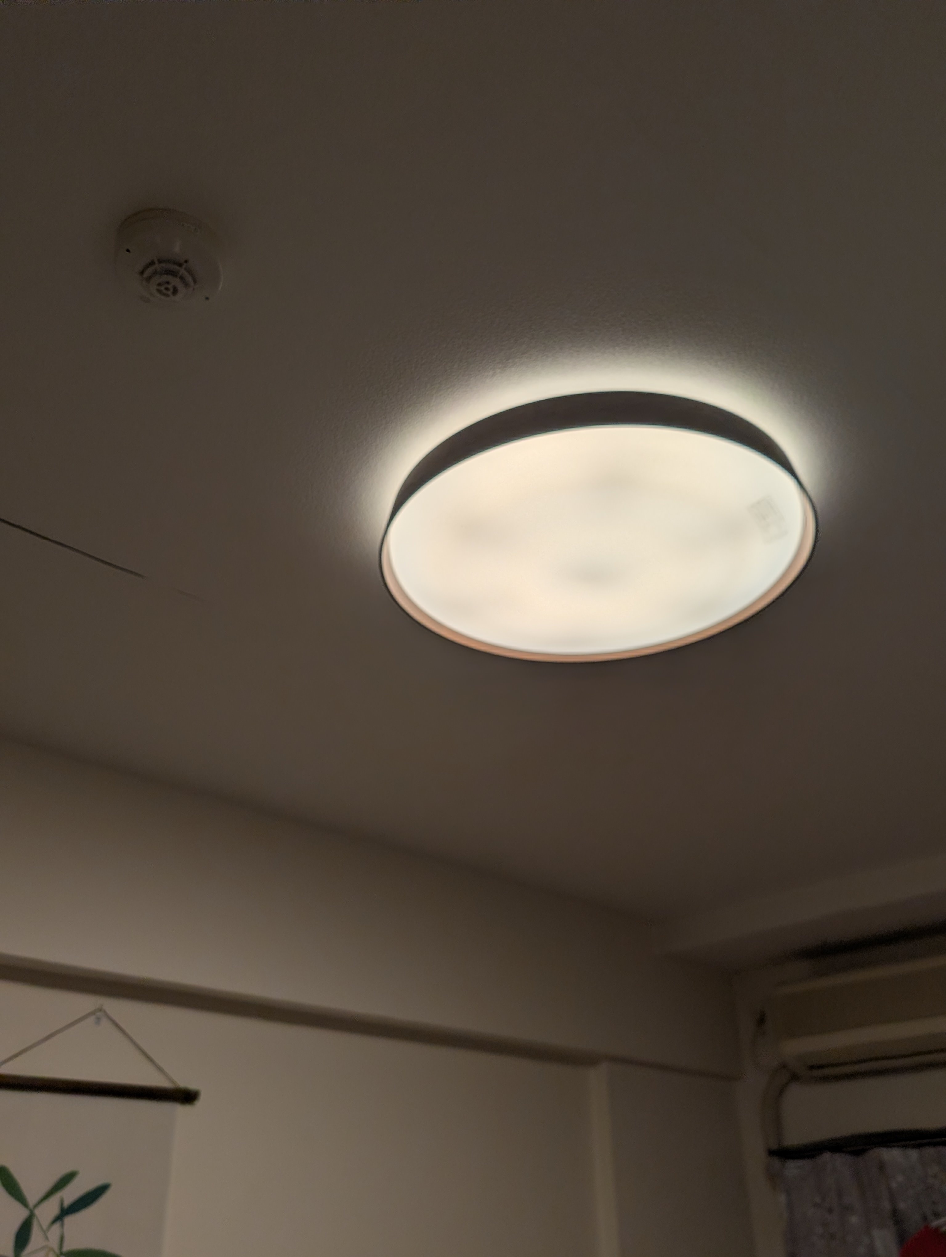 レビュー投稿画像