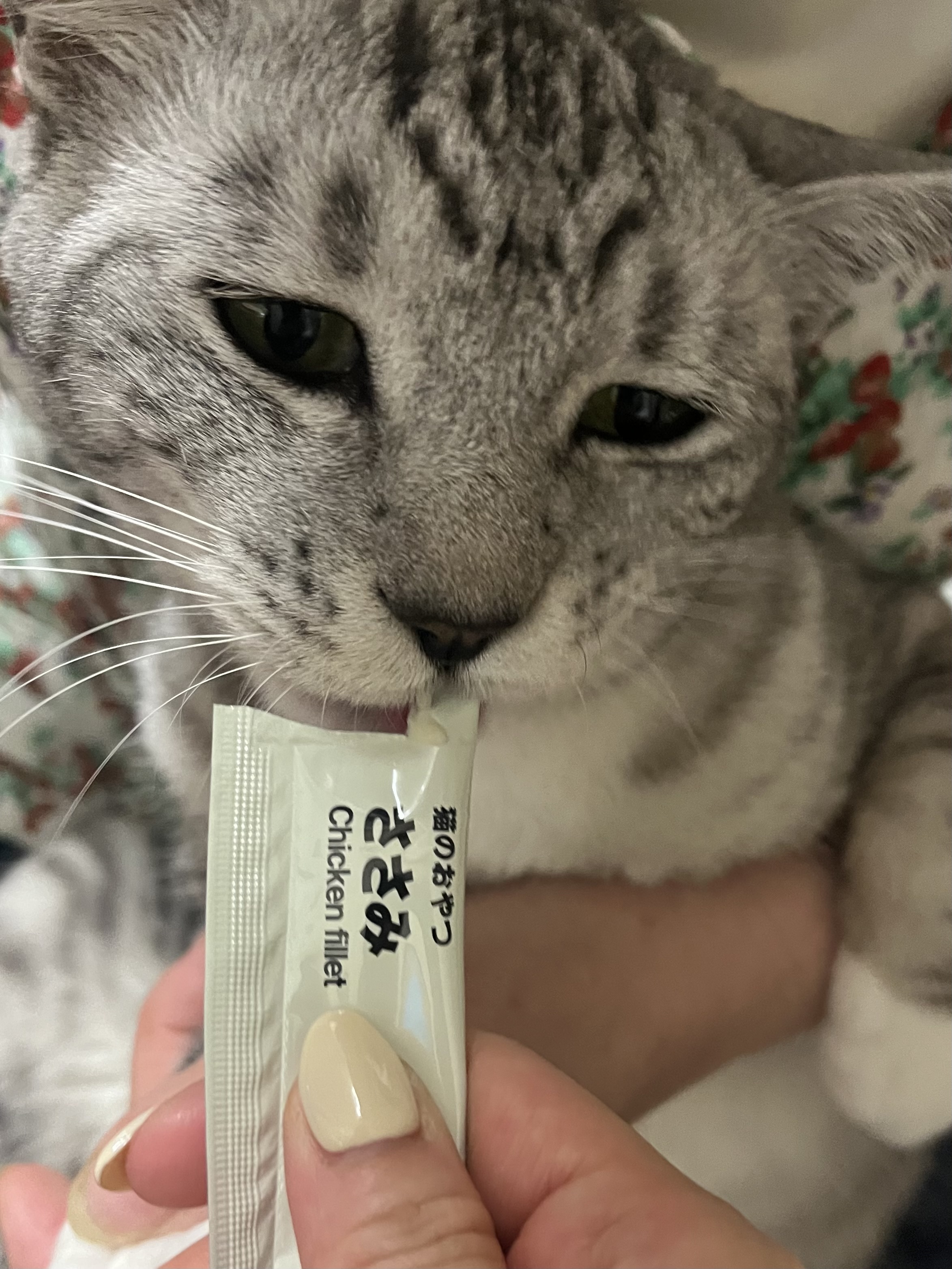 レビュー投稿画像