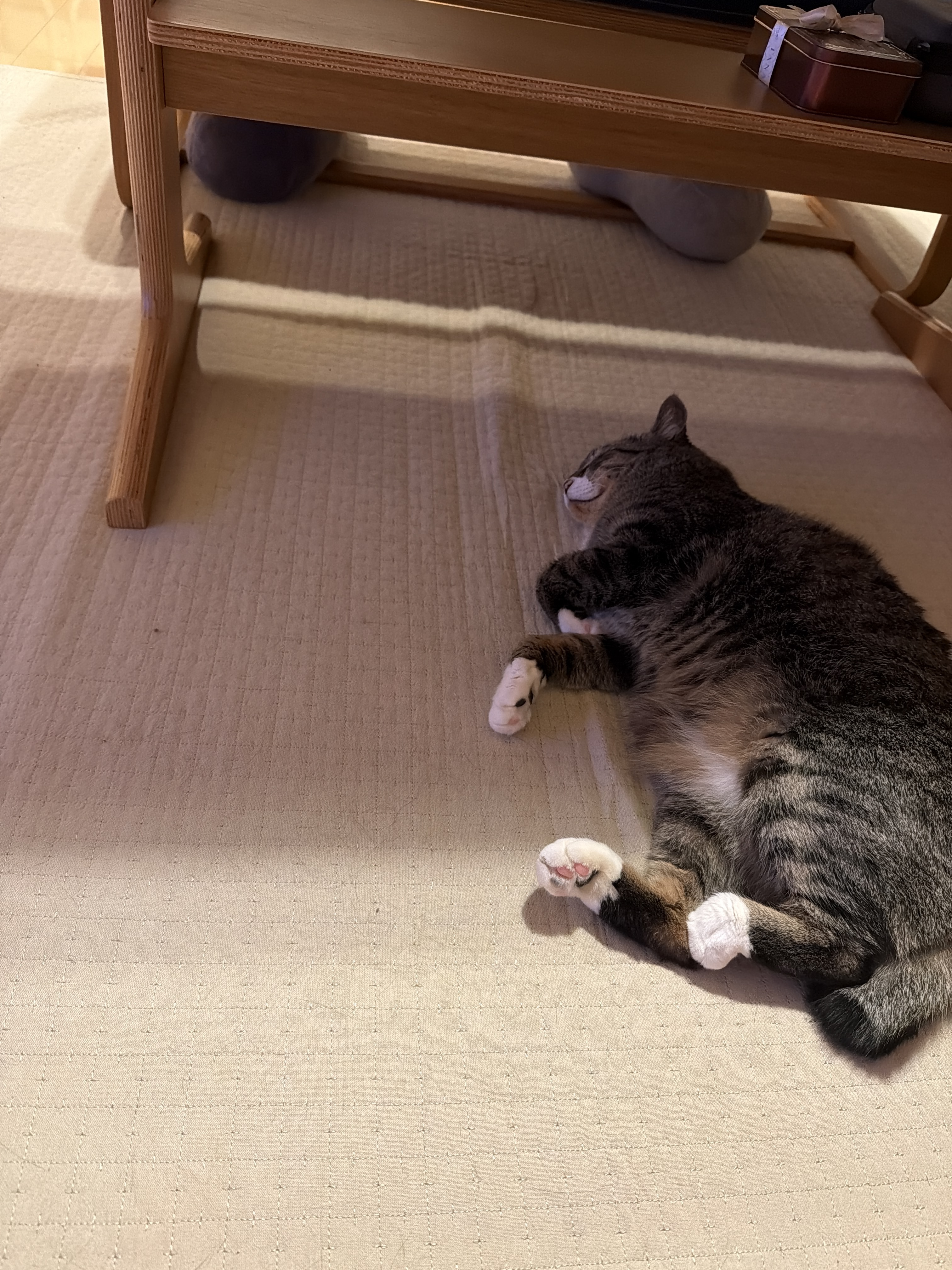 レビュー投稿画像