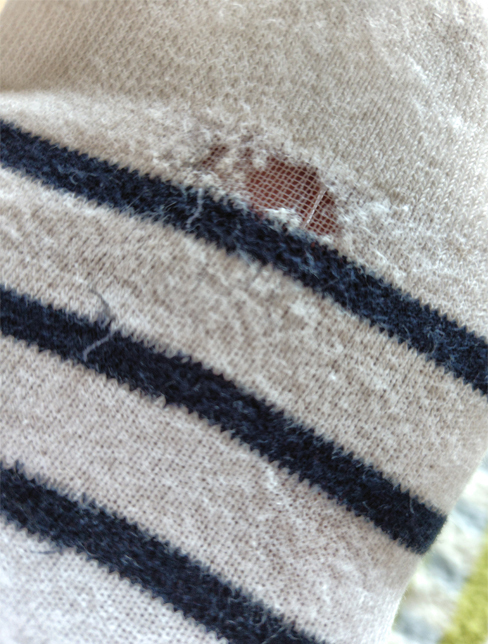 レビュー投稿画像