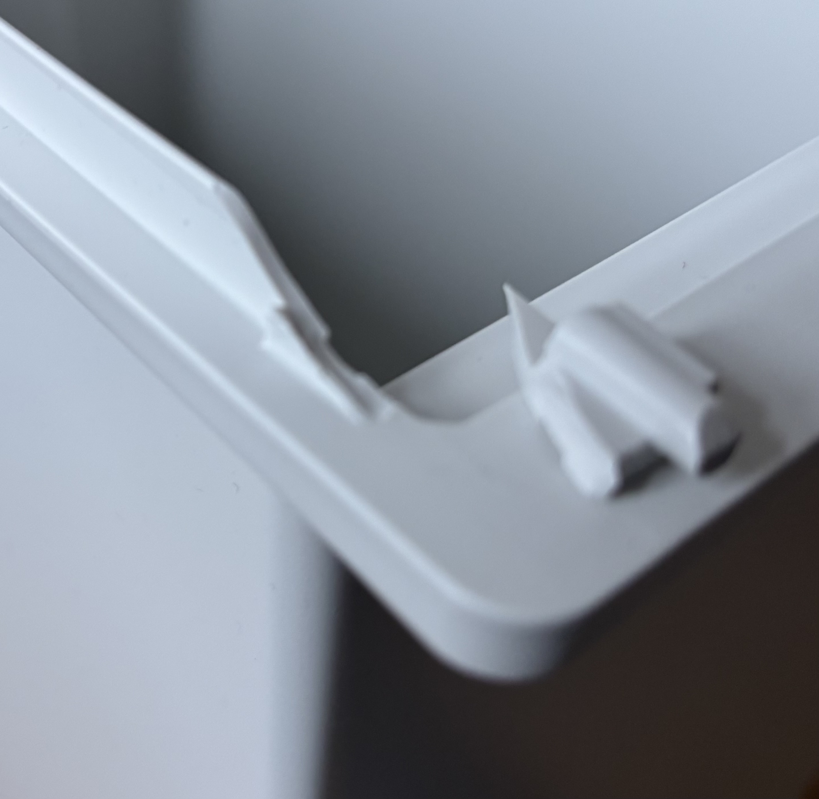 レビュー投稿画像