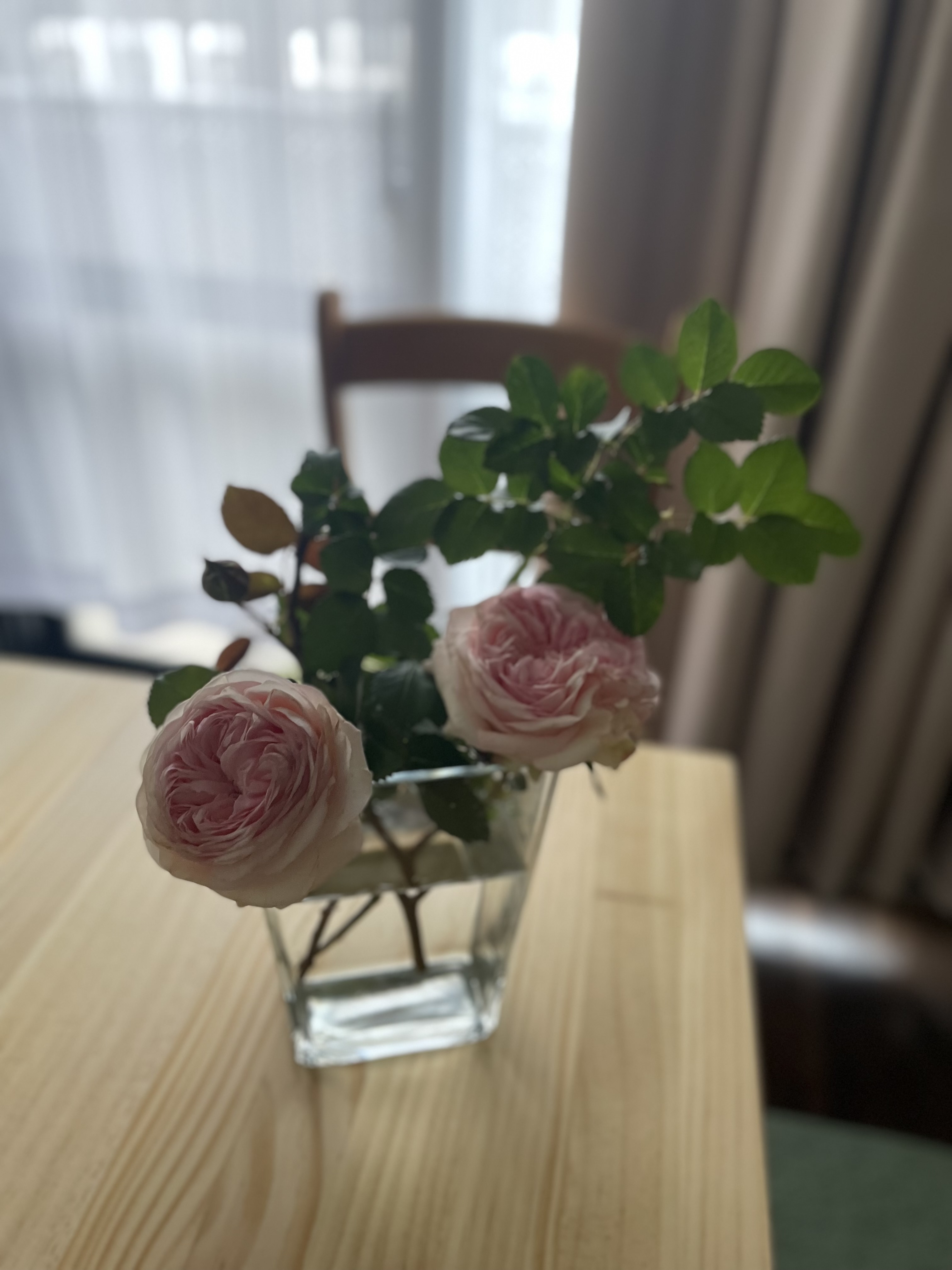 レビュー投稿画像