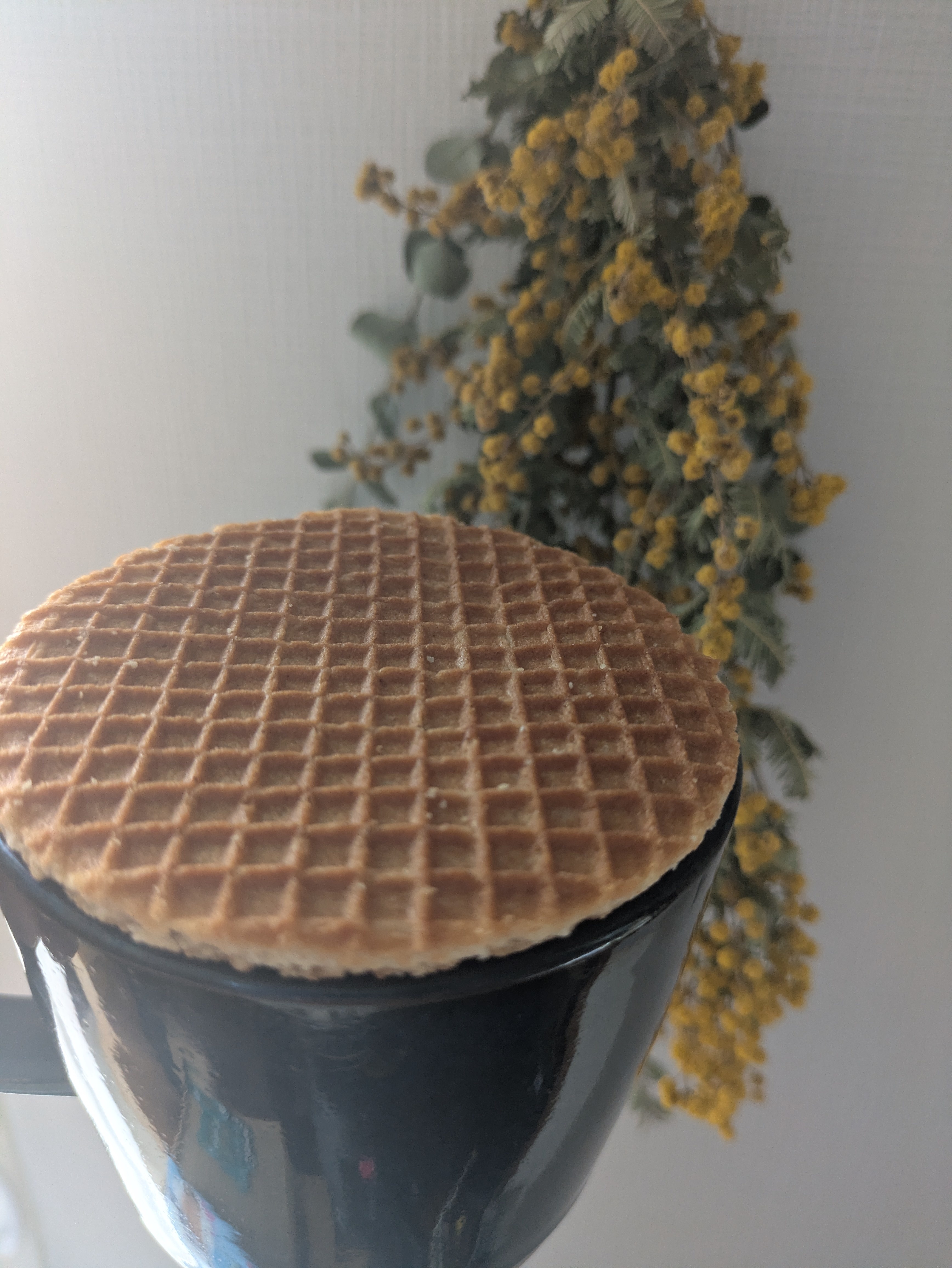 レビュー投稿画像