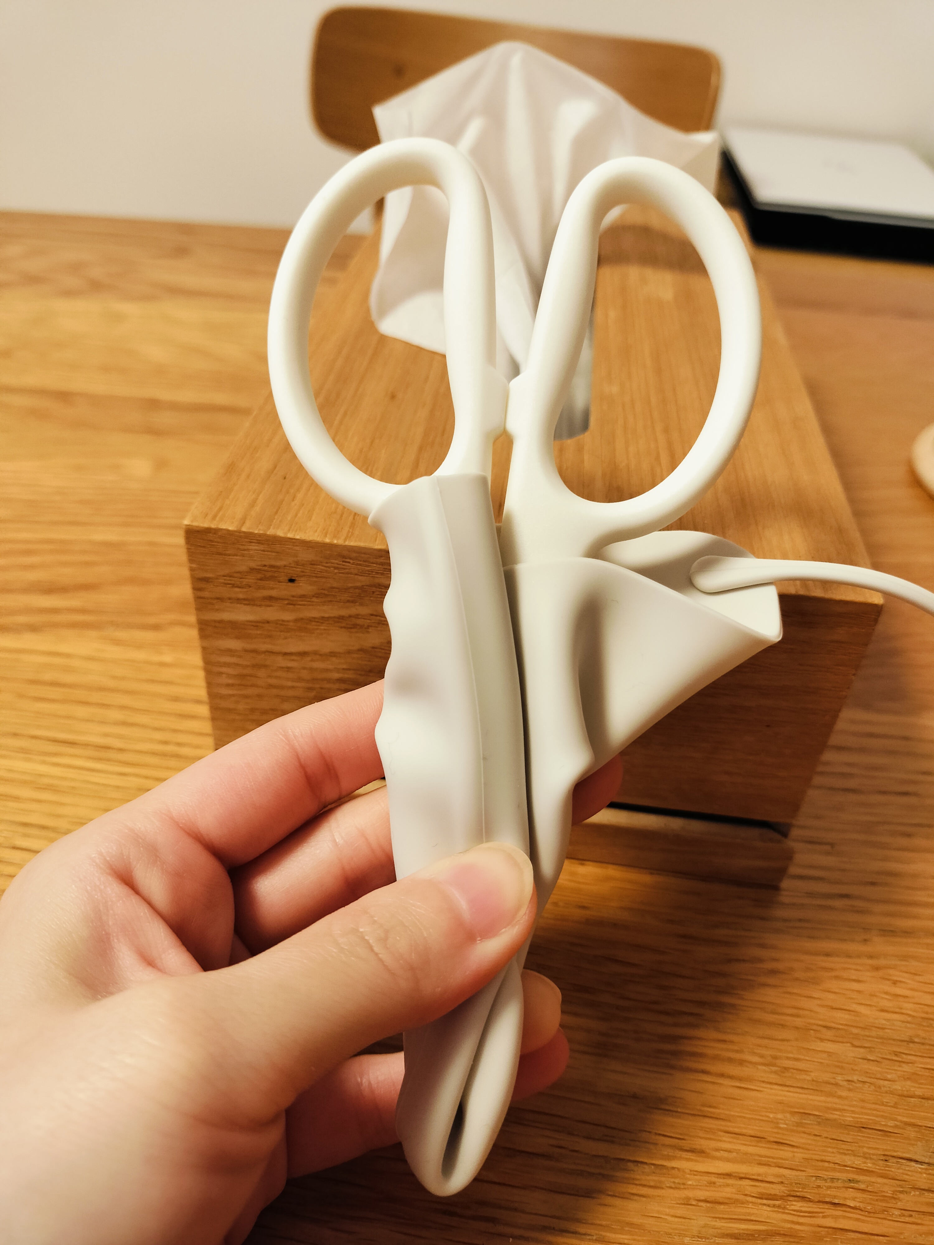 レビュー投稿画像