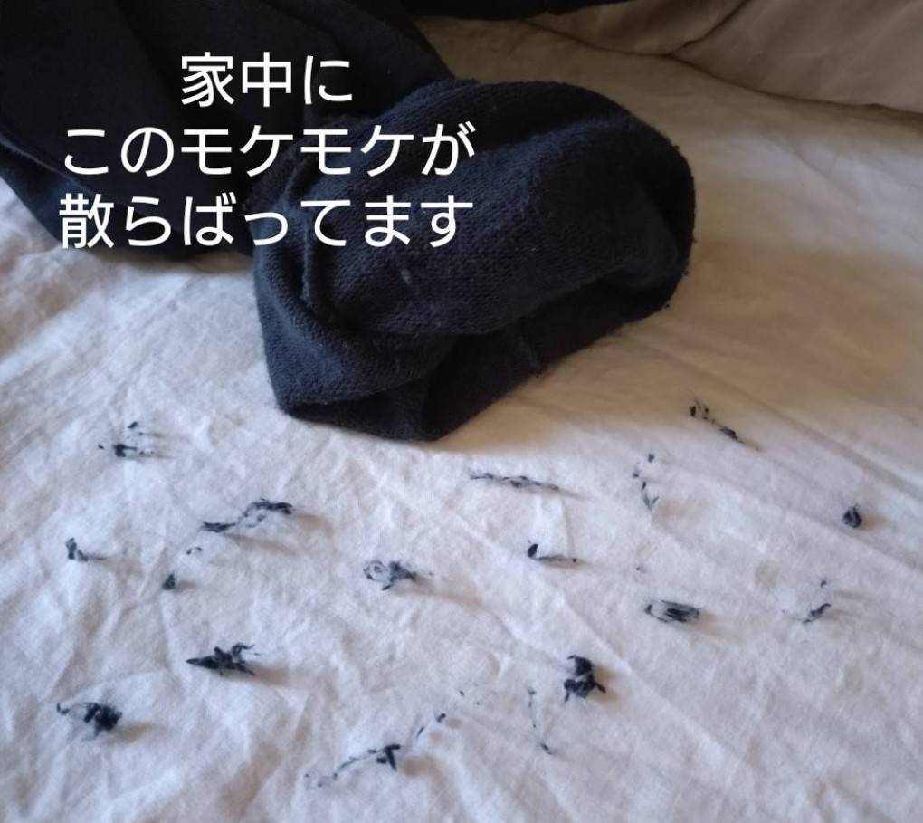 レビュー投稿画像