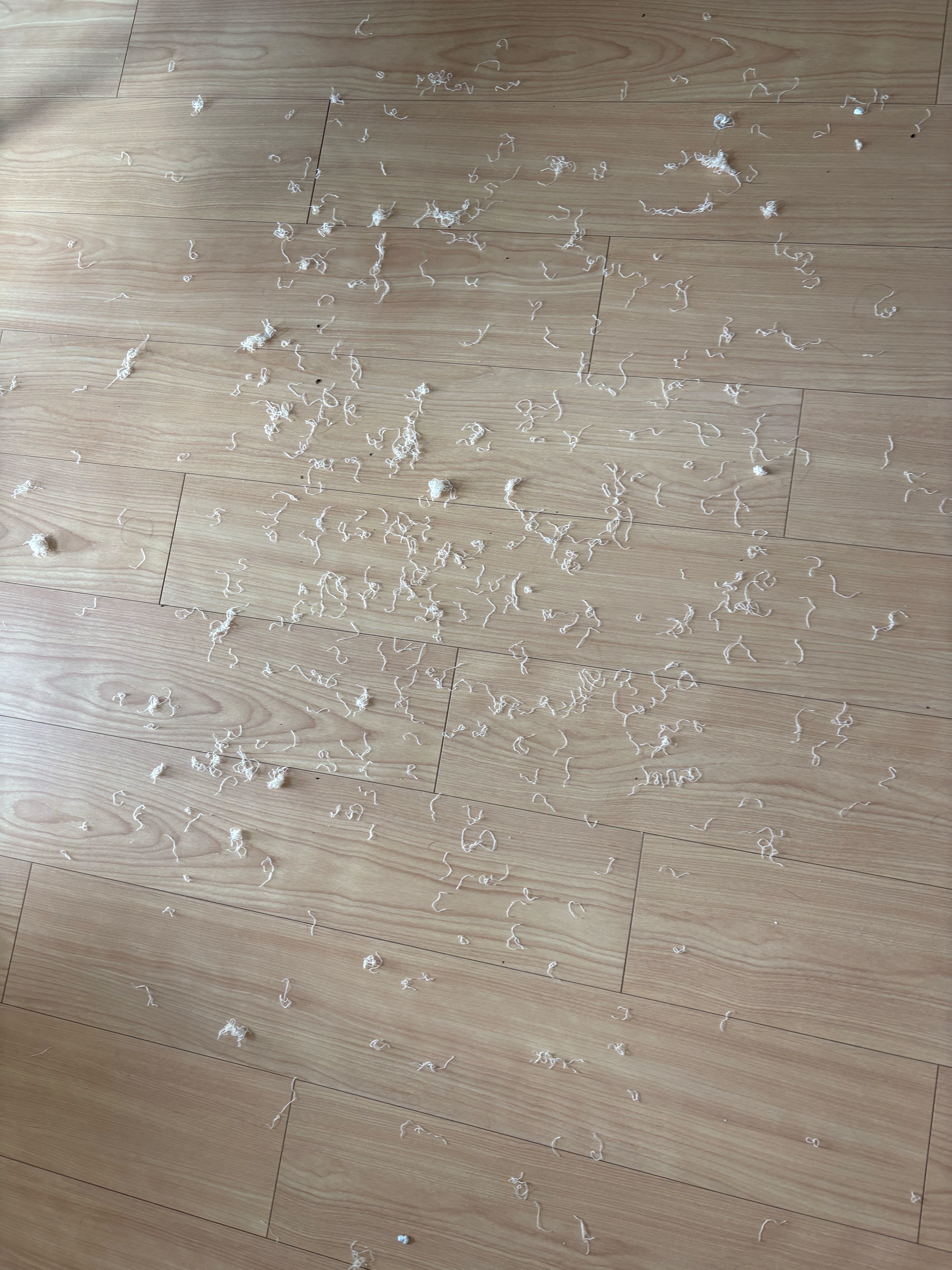 レビュー投稿画像