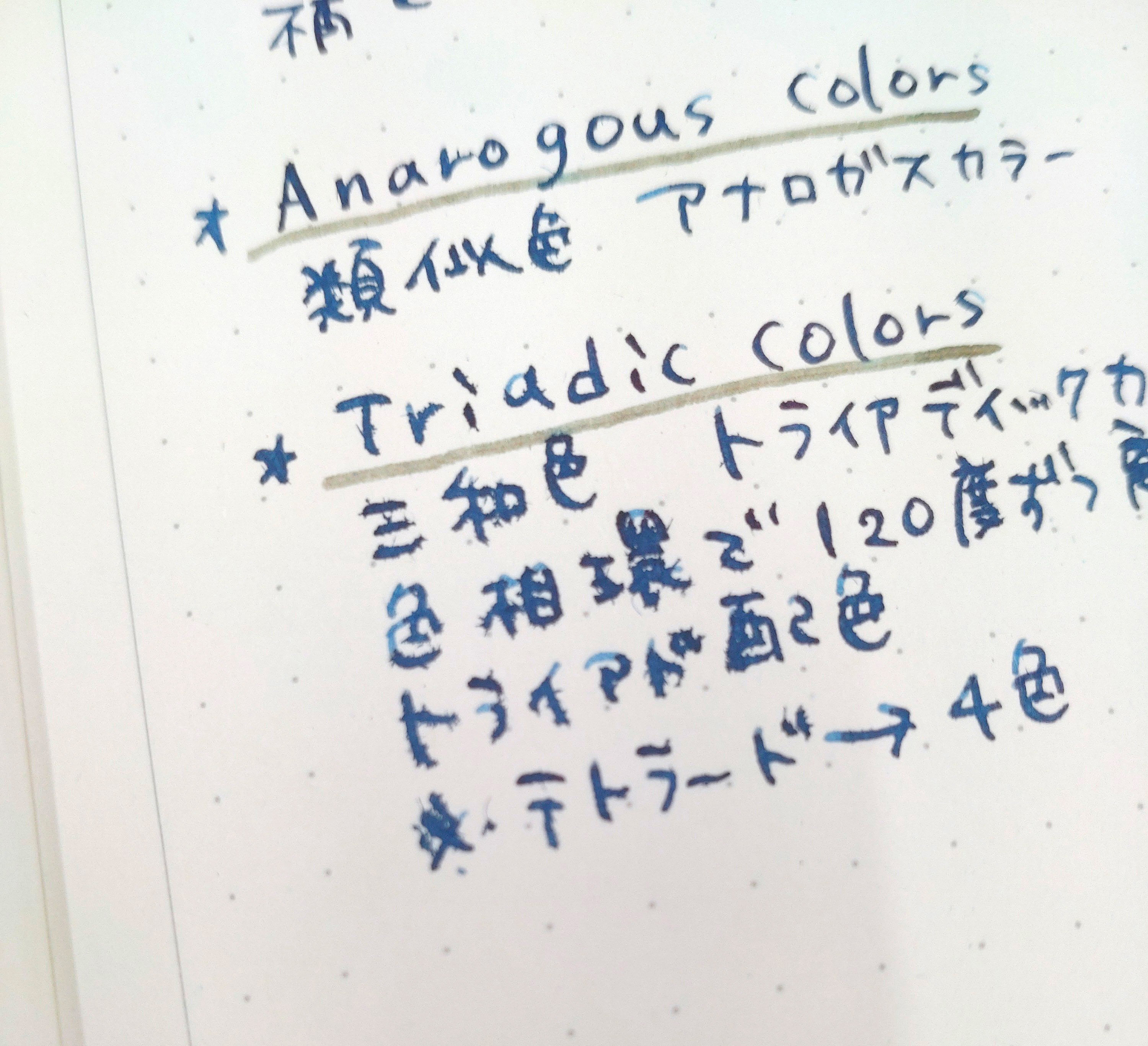 レビュー投稿画像