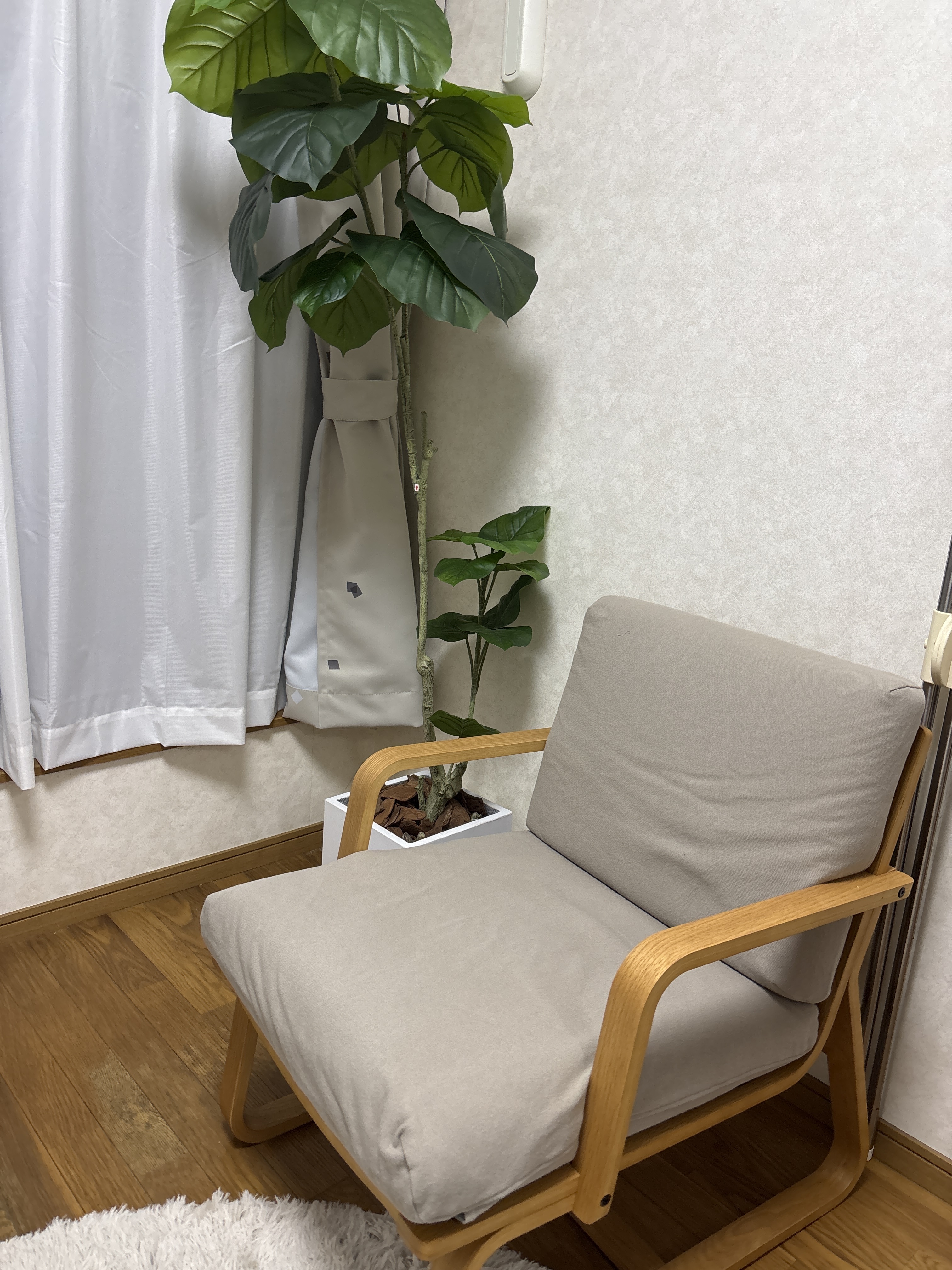 レビュー投稿画像