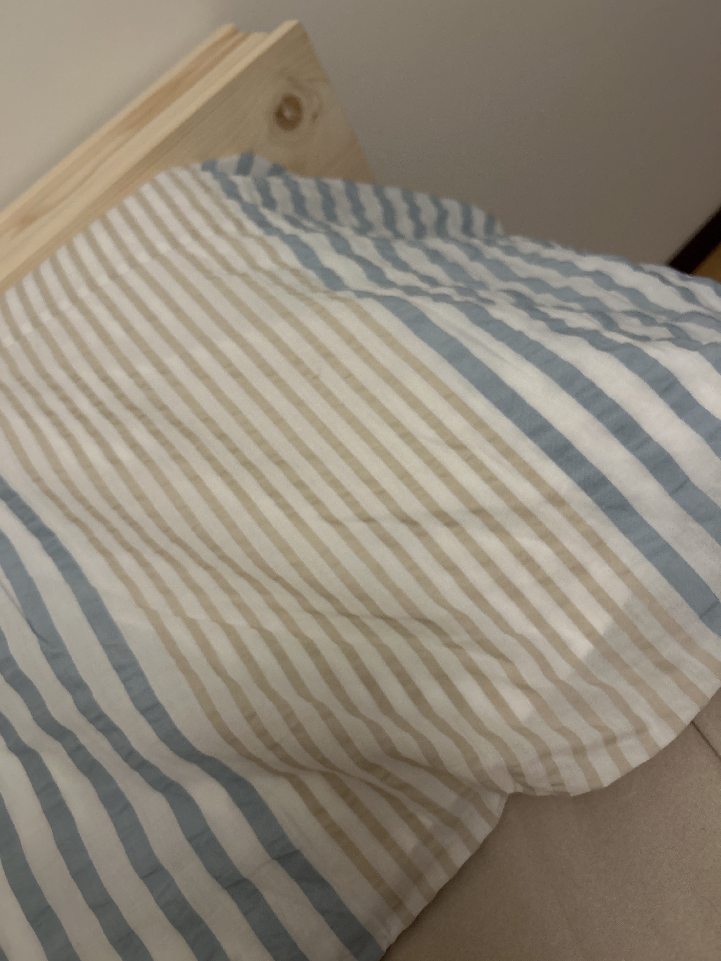 レビュー投稿画像