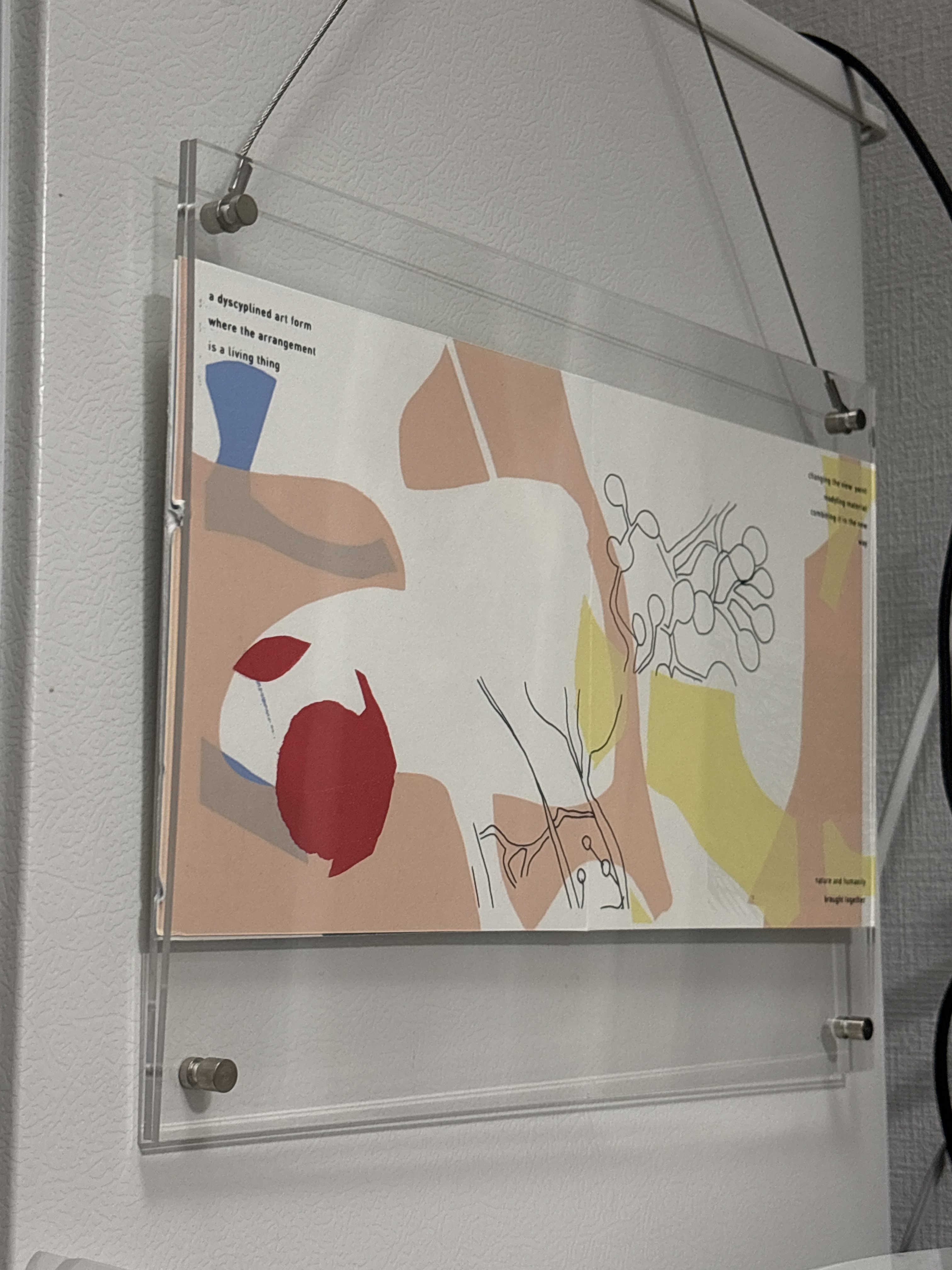 レビュー投稿画像