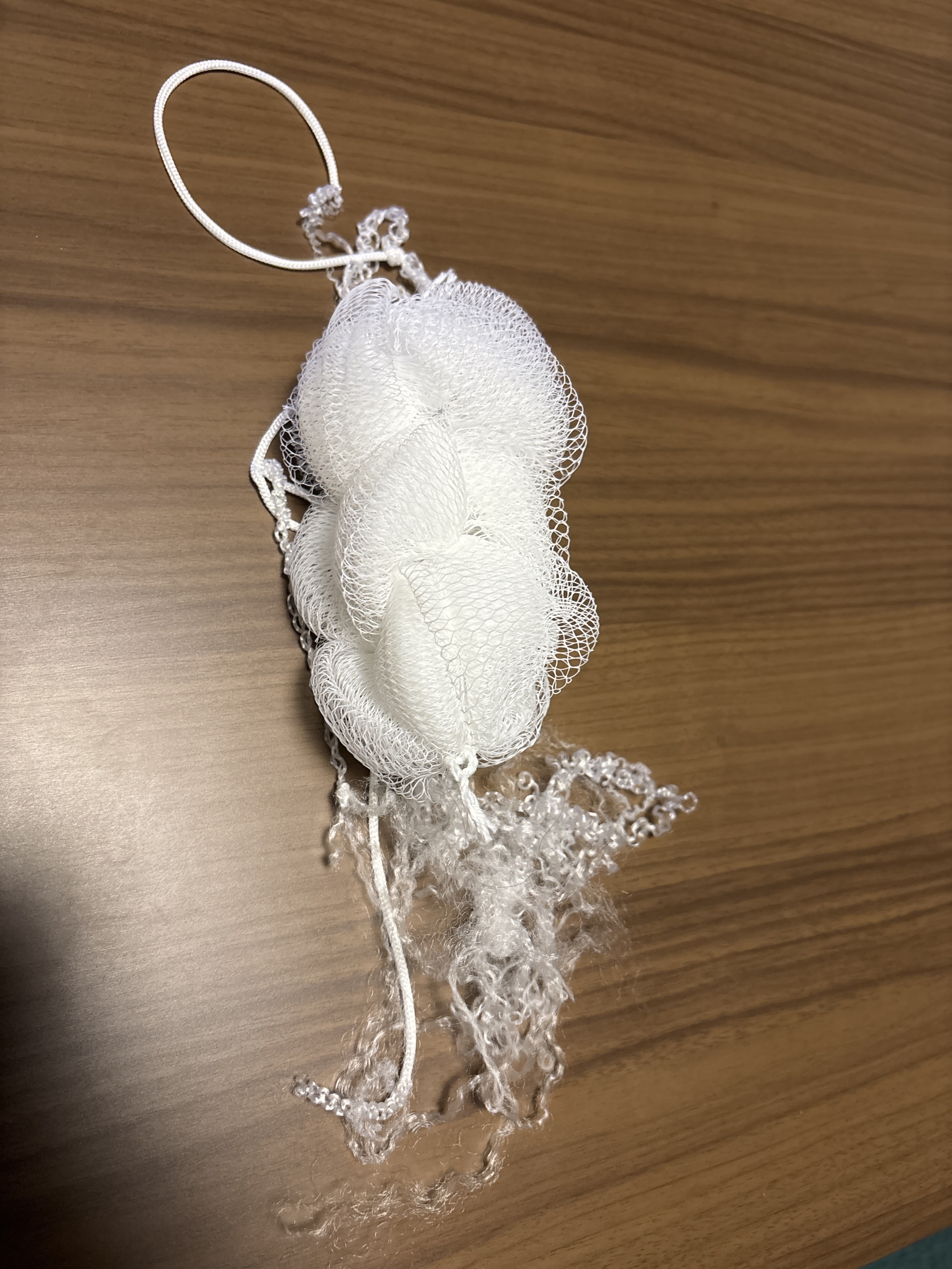 レビュー投稿画像
