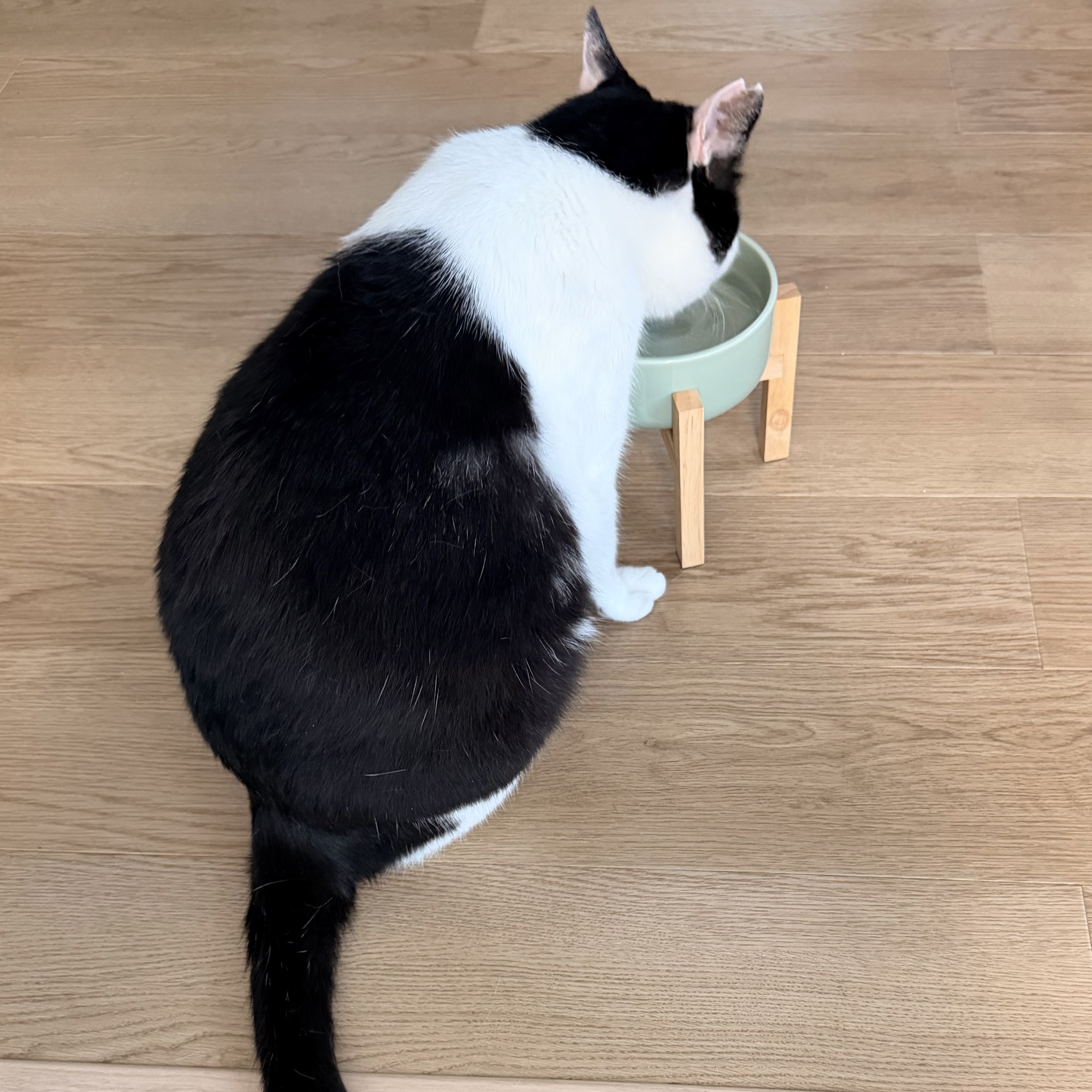 レビュー投稿画像