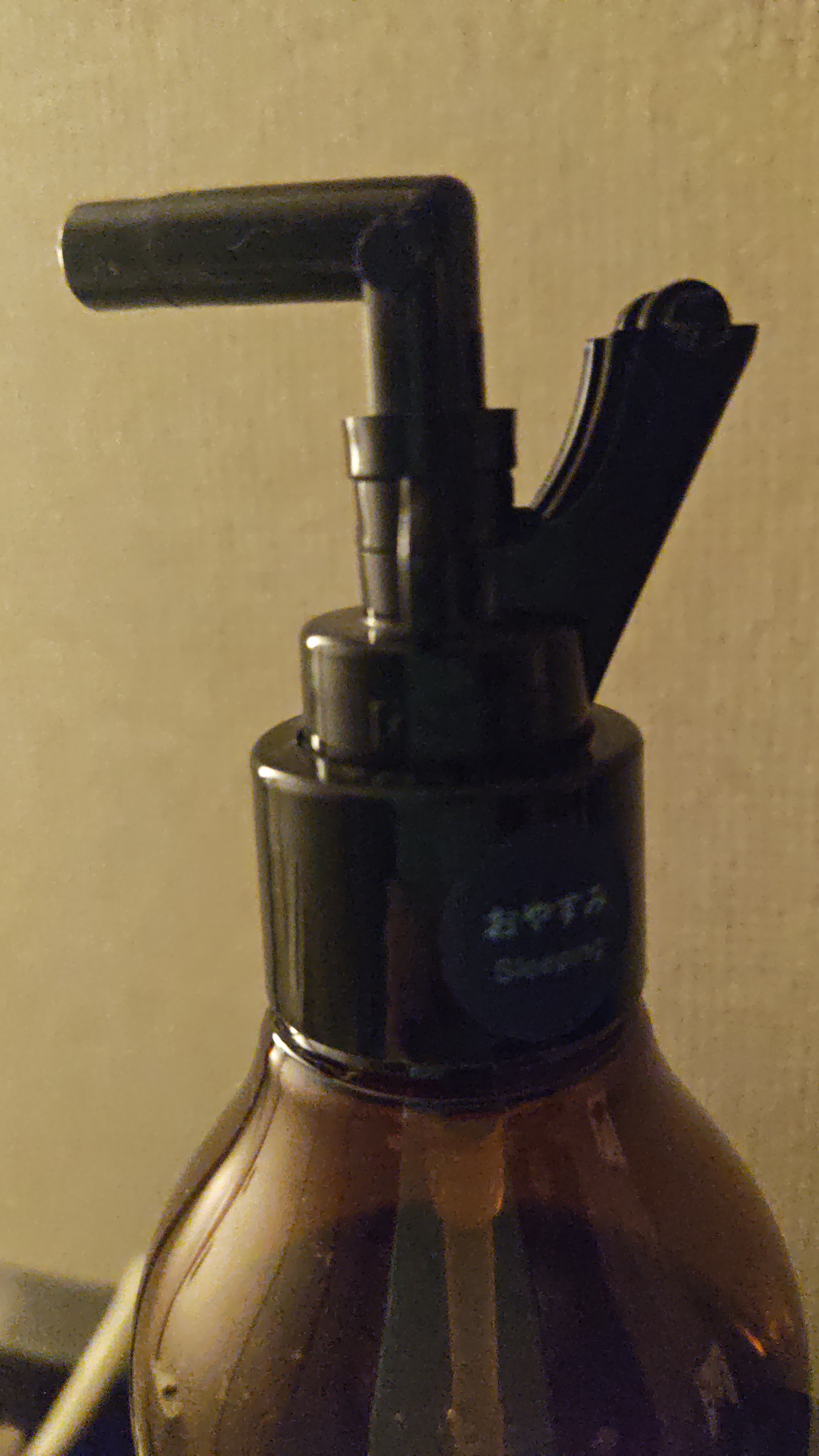 レビュー投稿画像