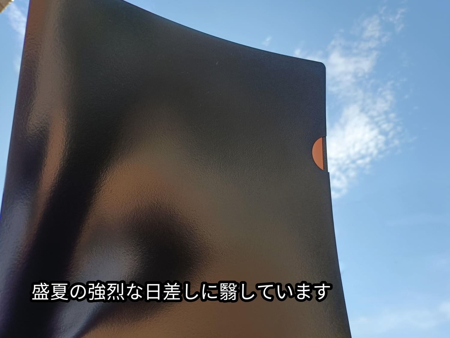 レビュー投稿画像
