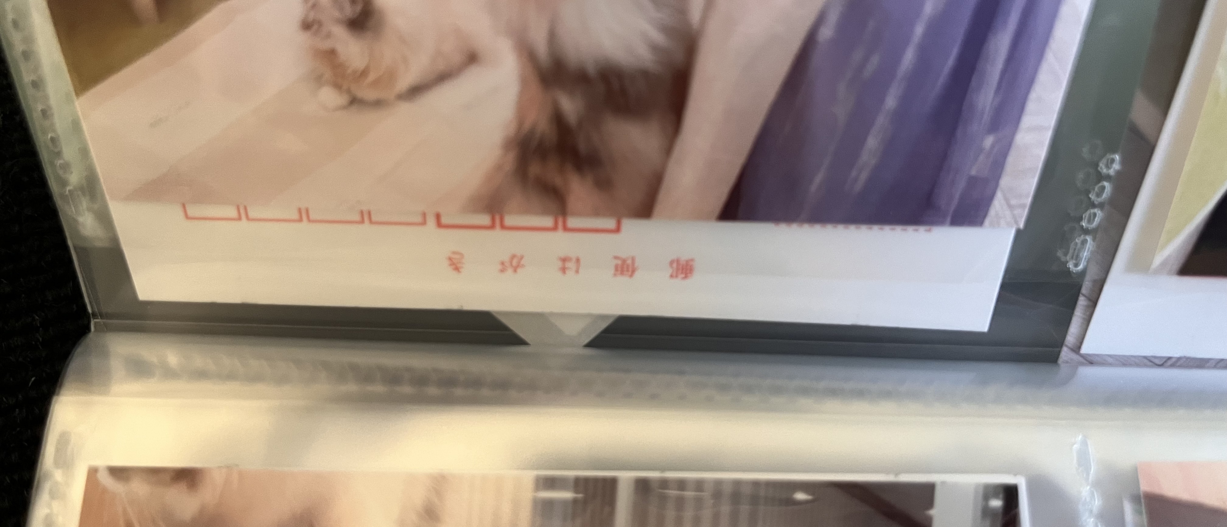 レビュー投稿画像