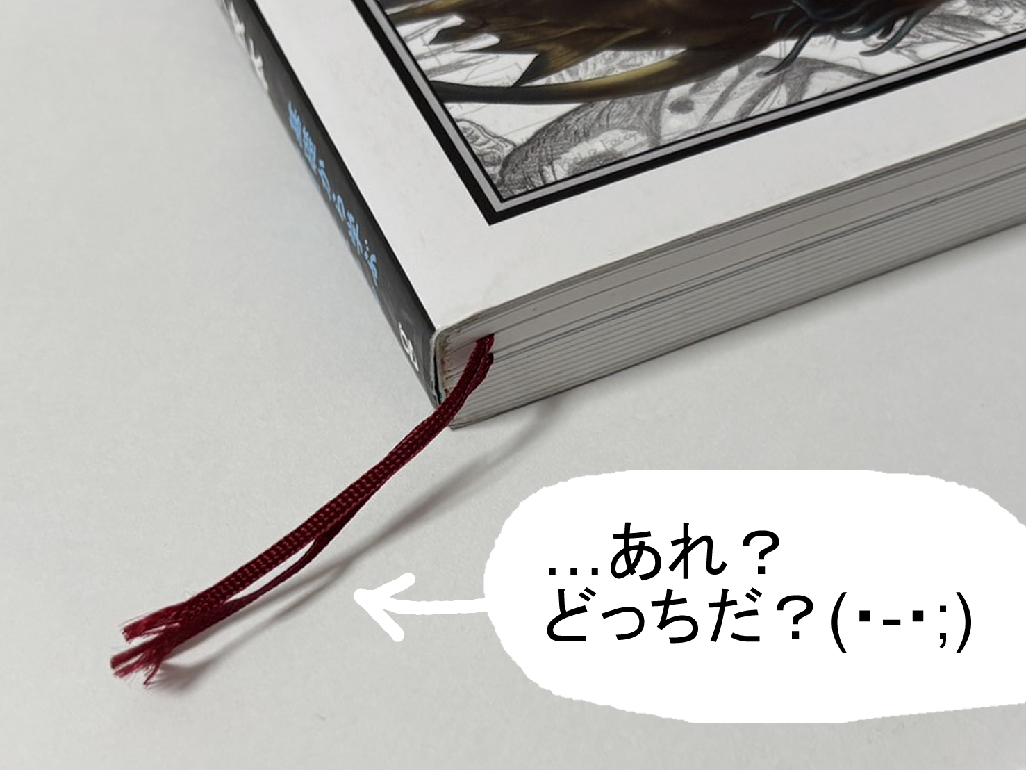 レビュー投稿画像