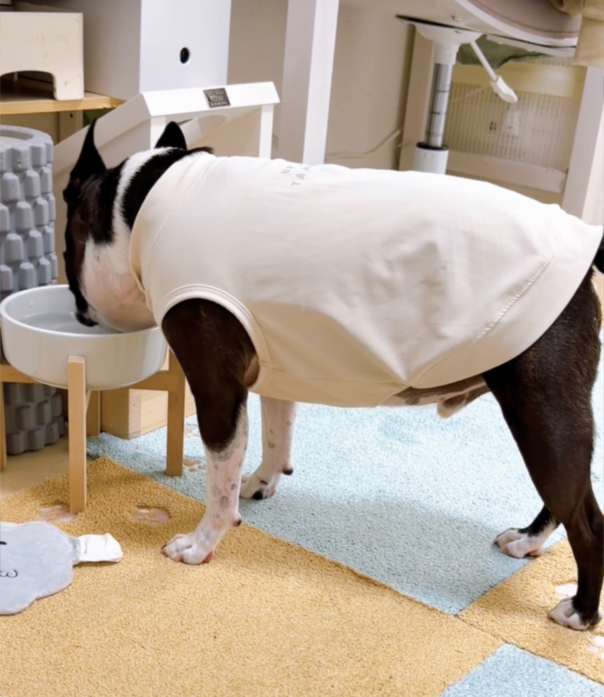 レビュー投稿画像