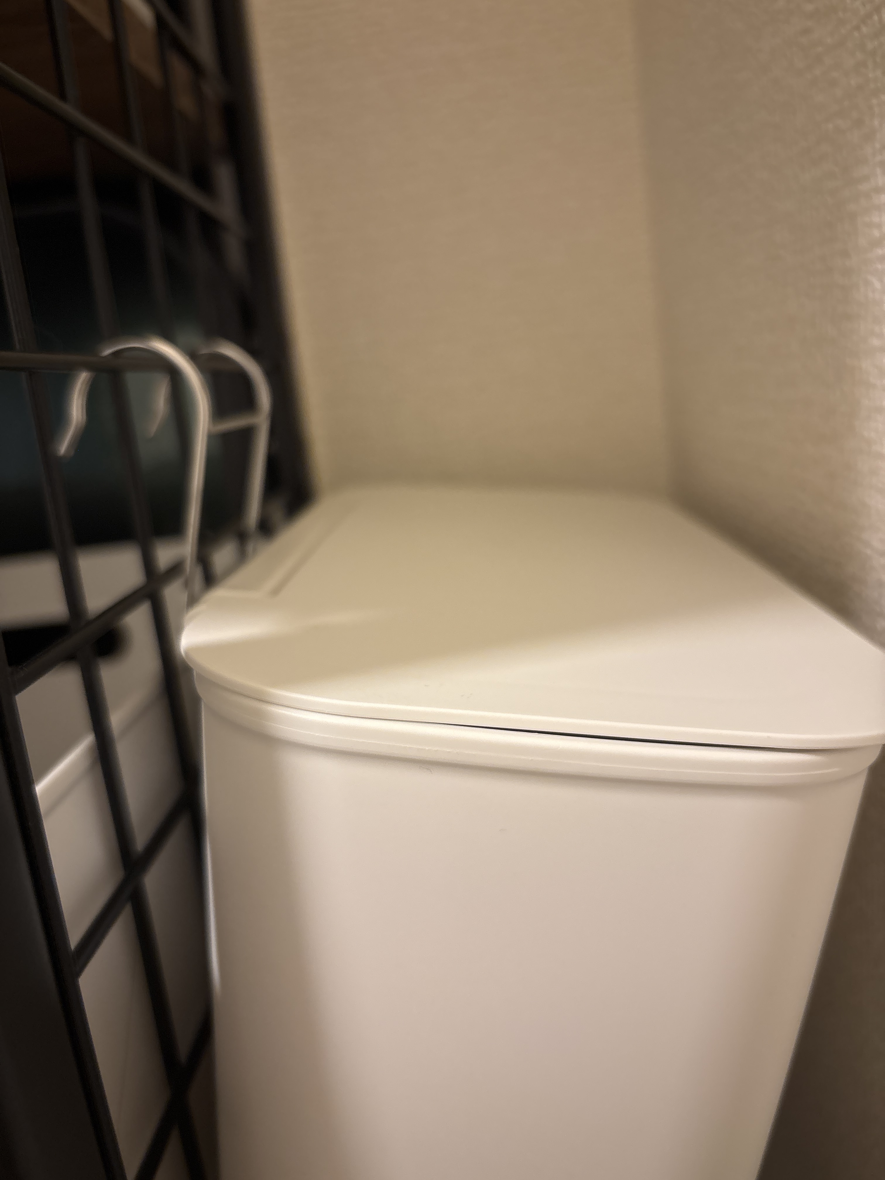 レビュー投稿画像