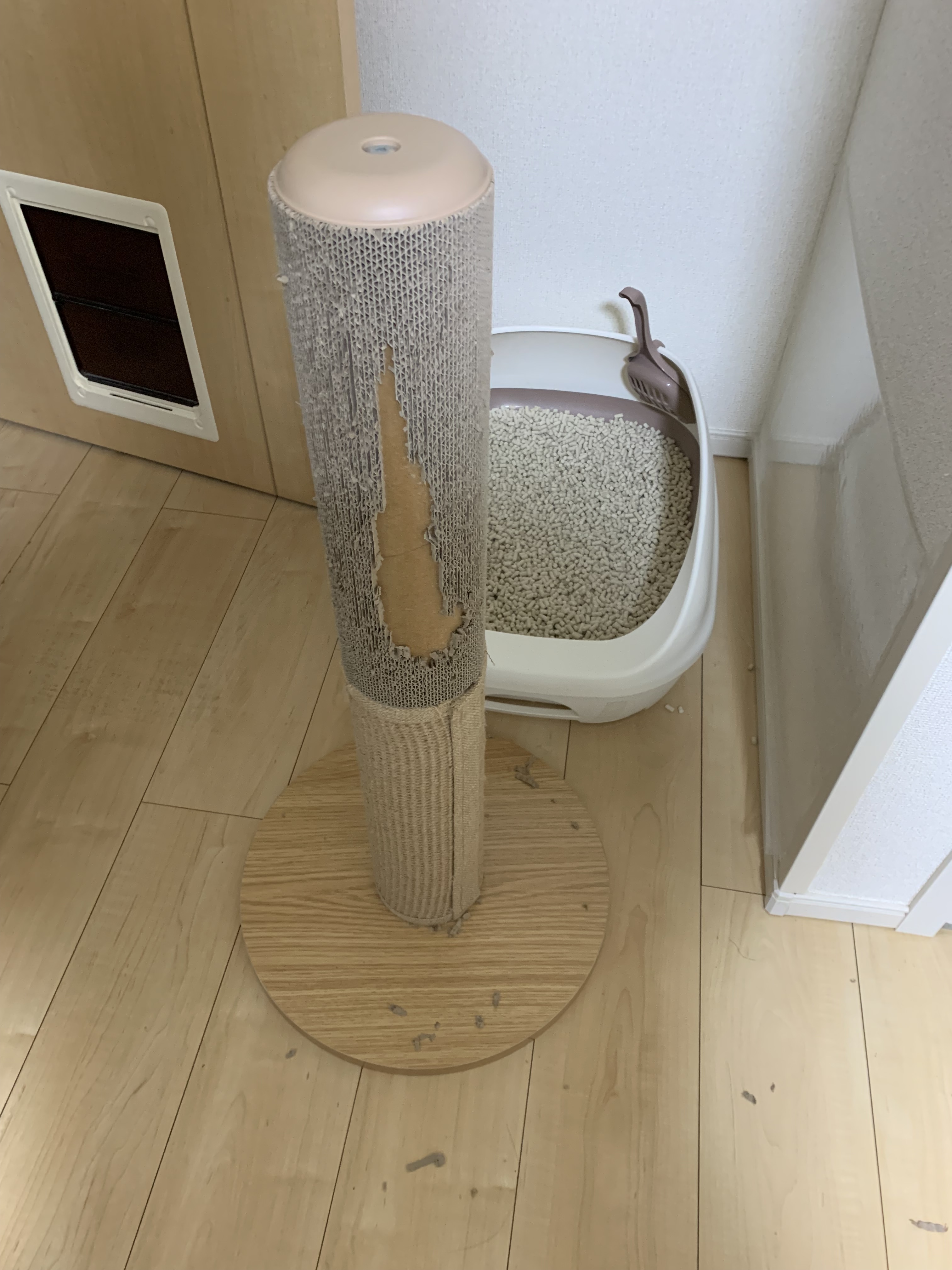 レビュー投稿画像