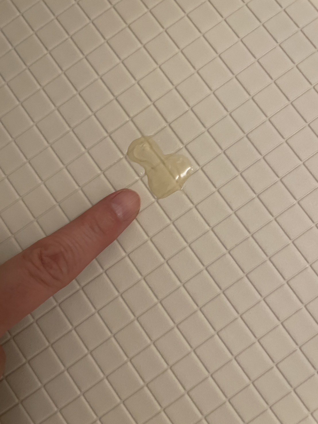 レビュー投稿画像