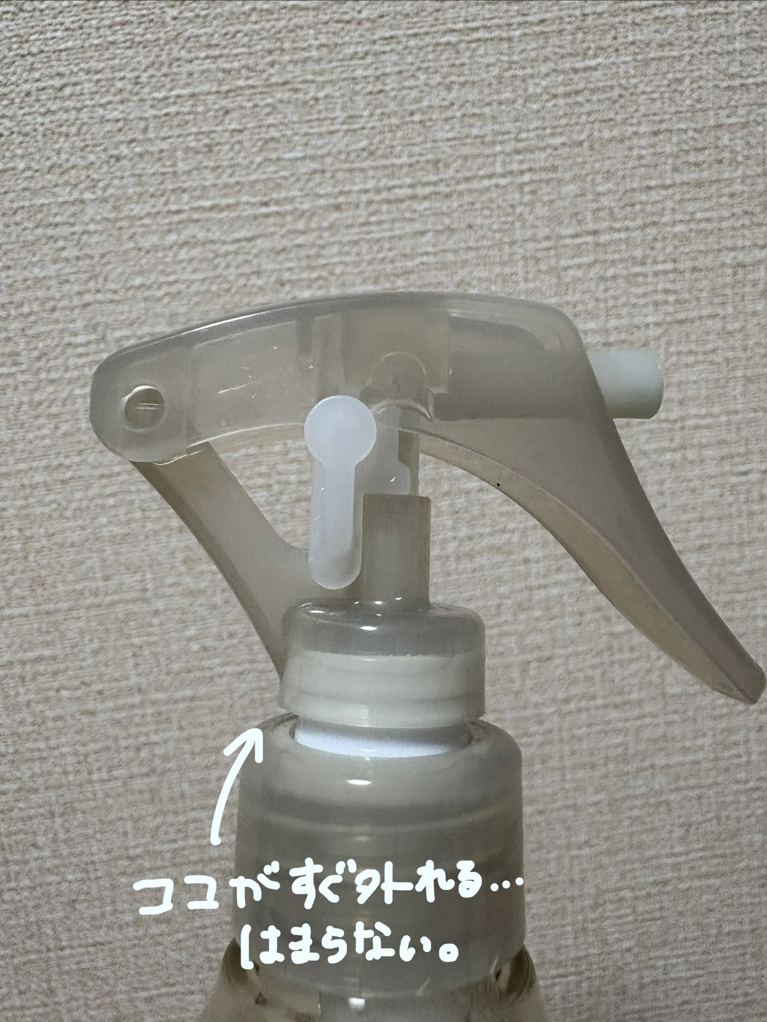 レビュー投稿画像