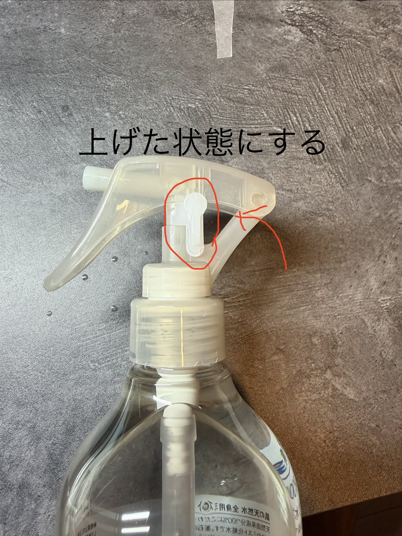 レビュー投稿画像