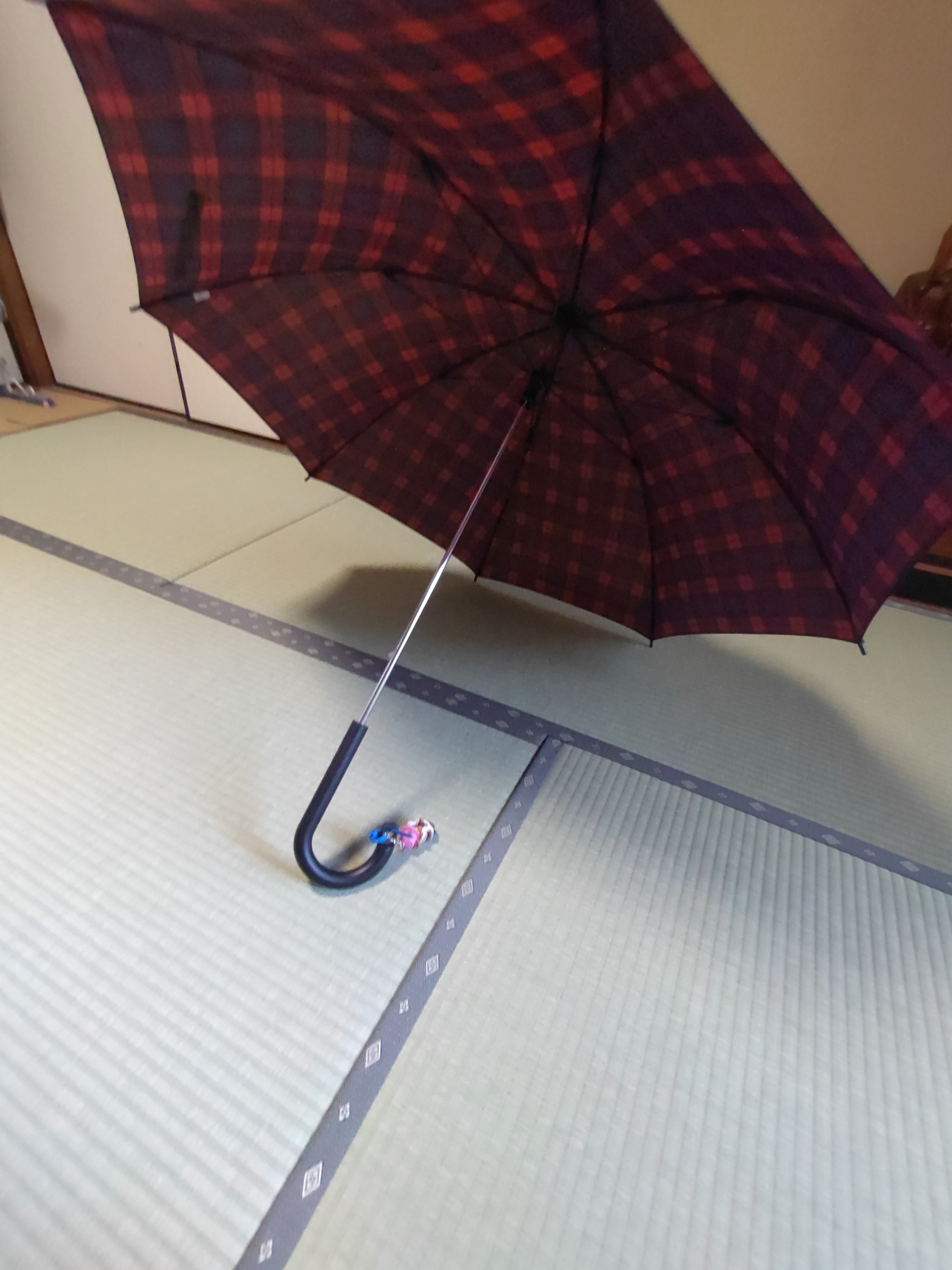 レビュー投稿画像