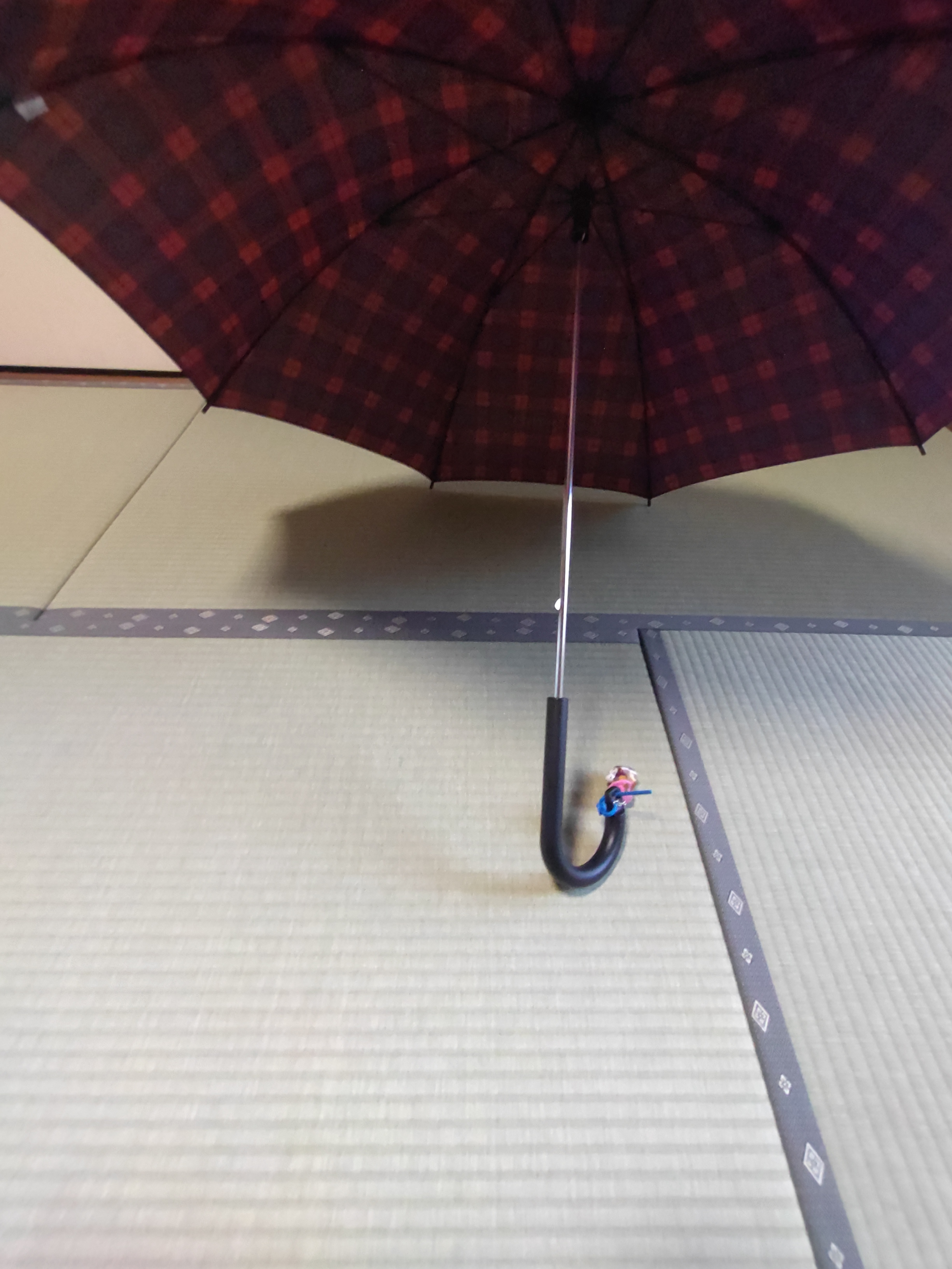 レビュー投稿画像