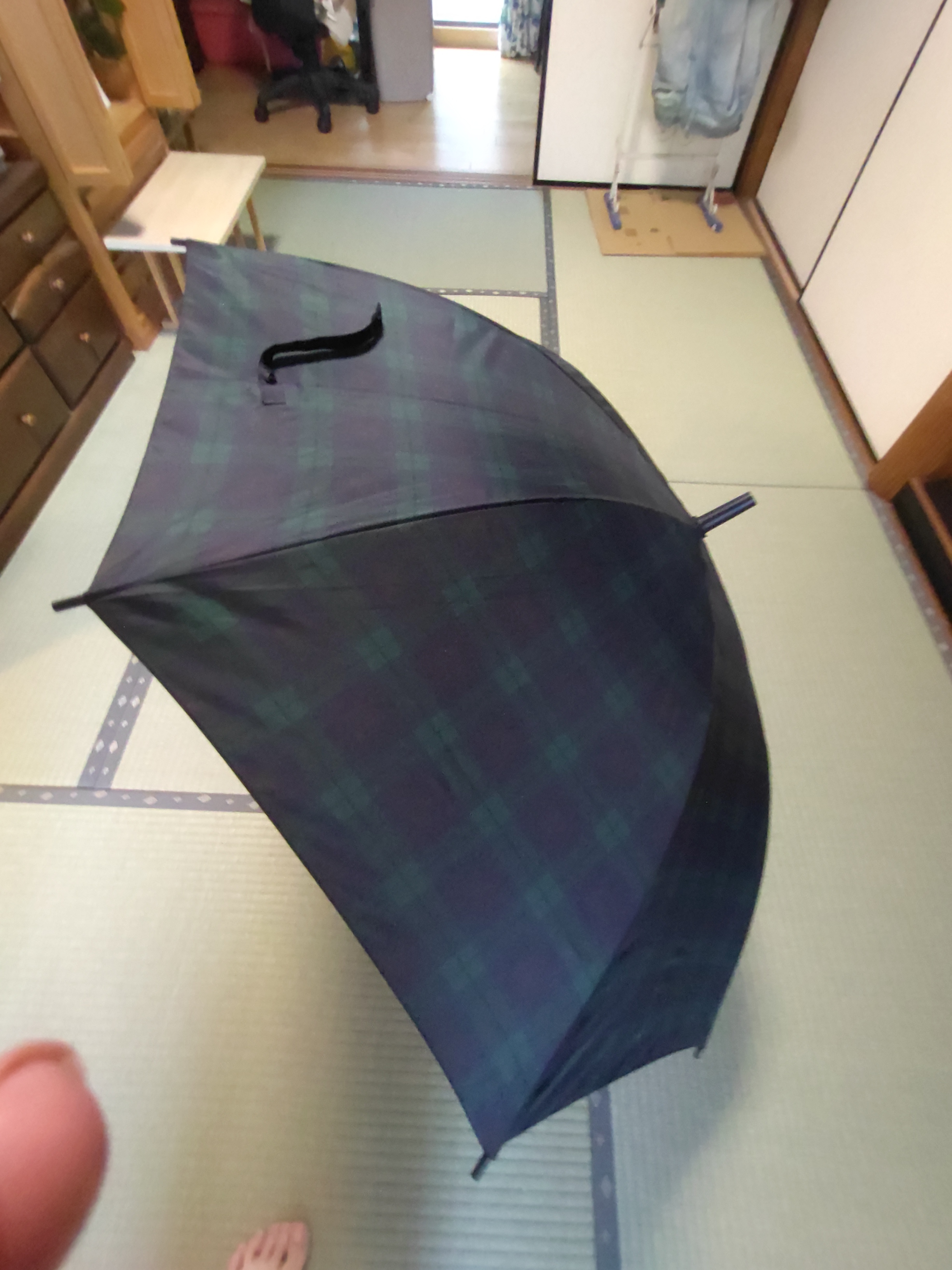 レビュー投稿画像