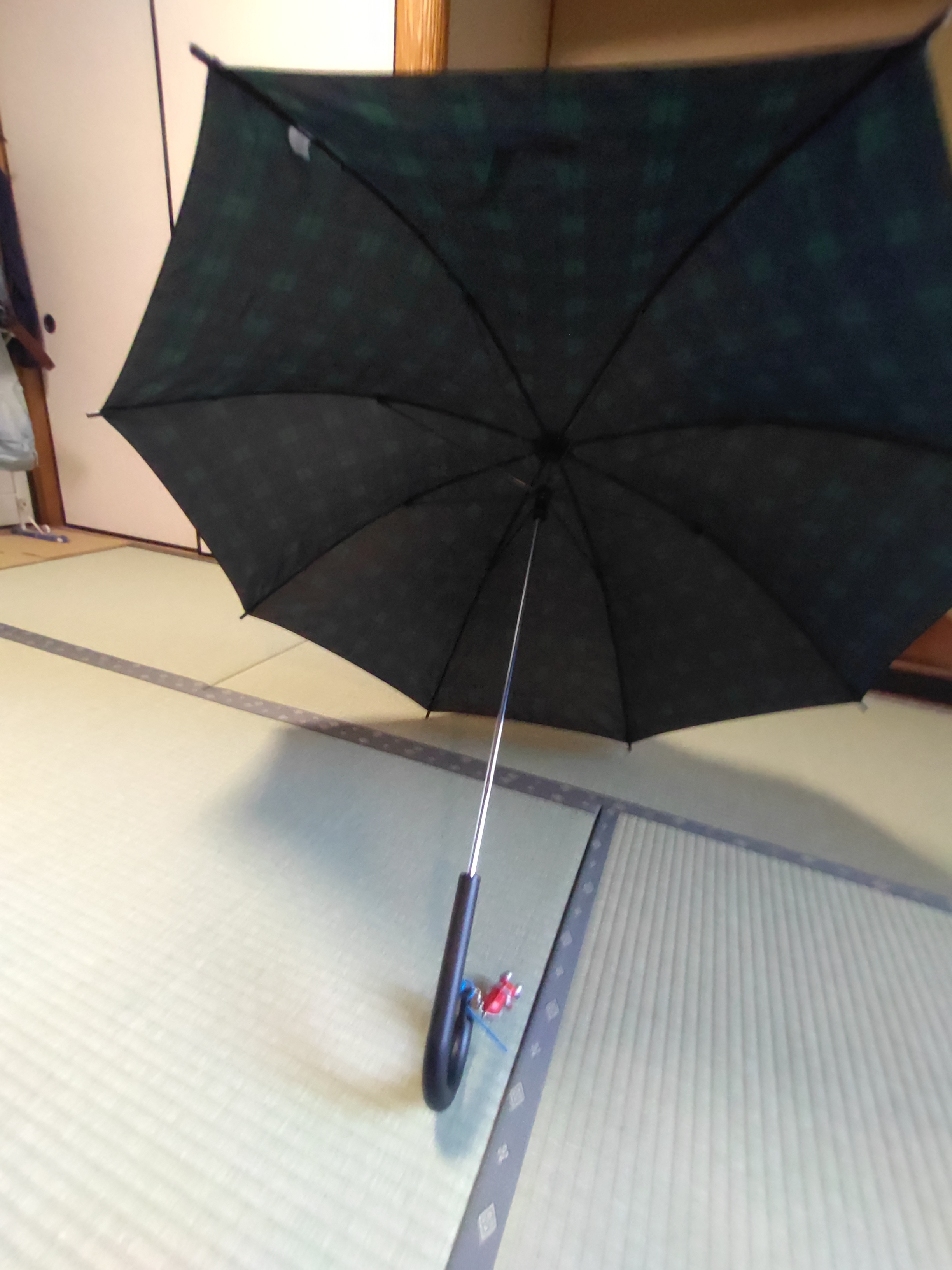 レビュー投稿画像